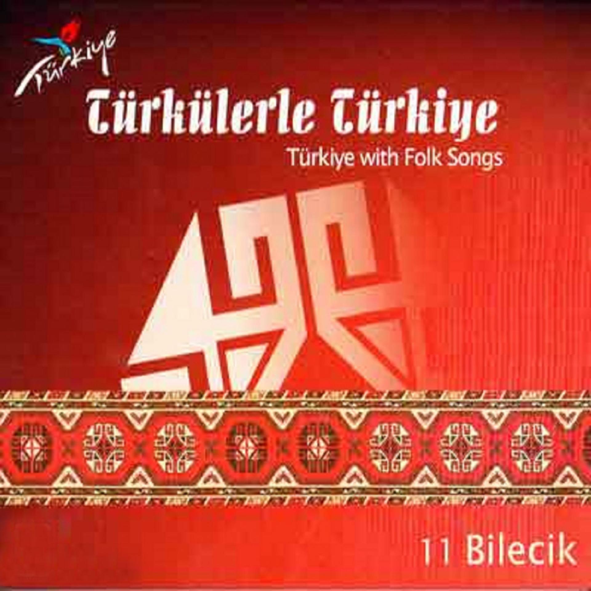 Постер альбома Türkülerle Türkiye, Vol. 11