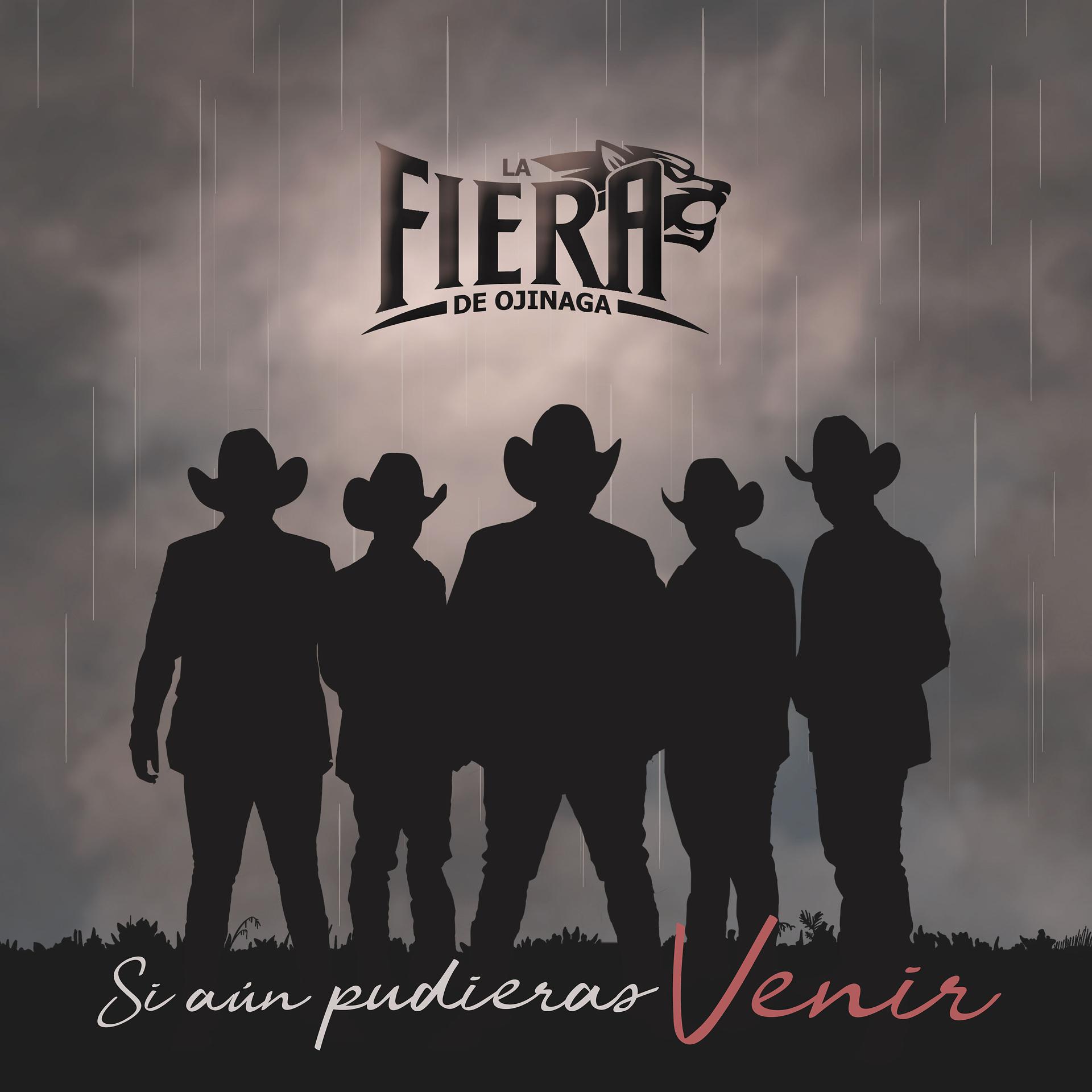 Постер альбома Si Aún Pudieras Venir