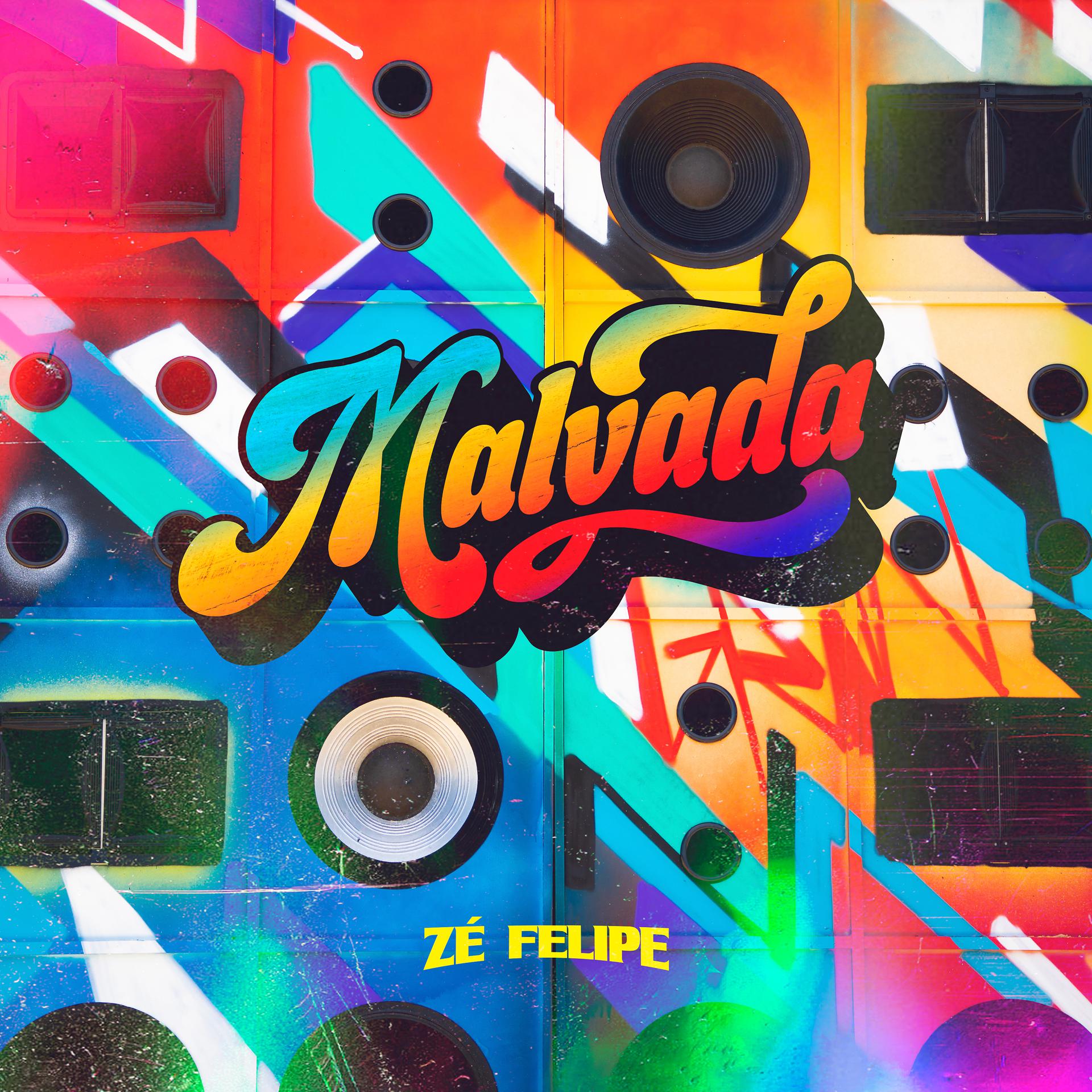 Постер альбома Malvada
