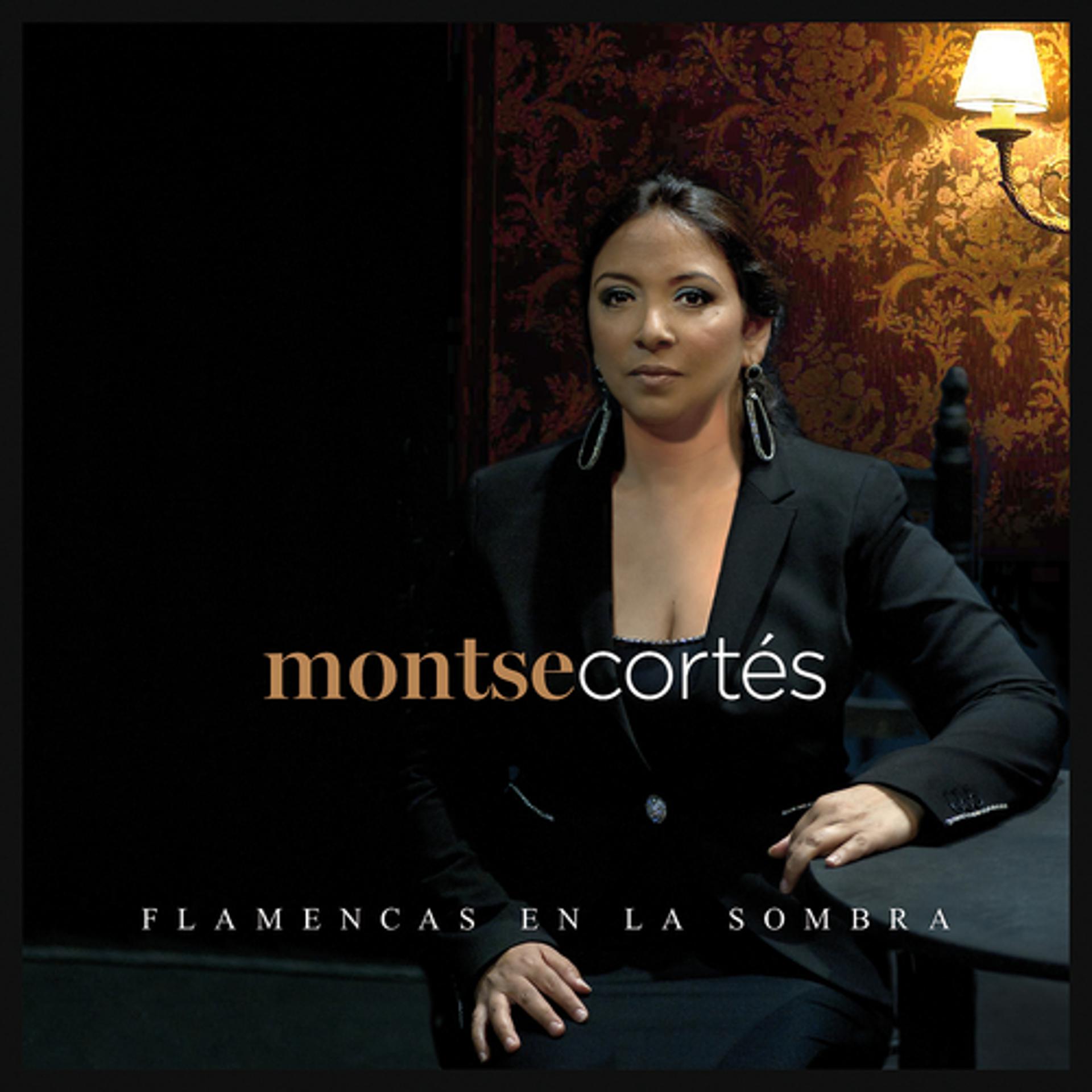 Постер альбома Flamencas En La Sombra