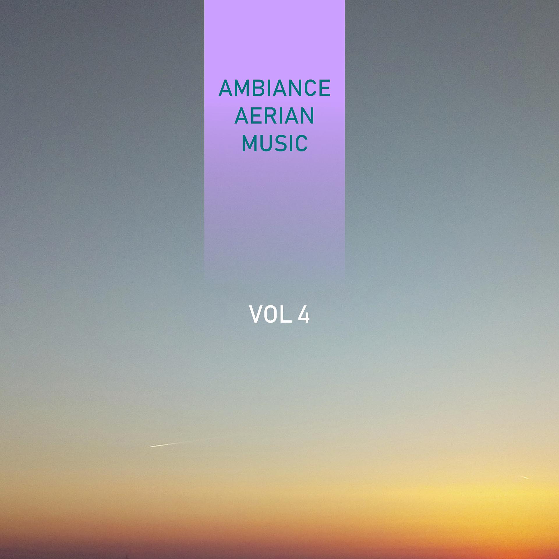 Постер альбома Ambiance Aerian Music, Vol. 4