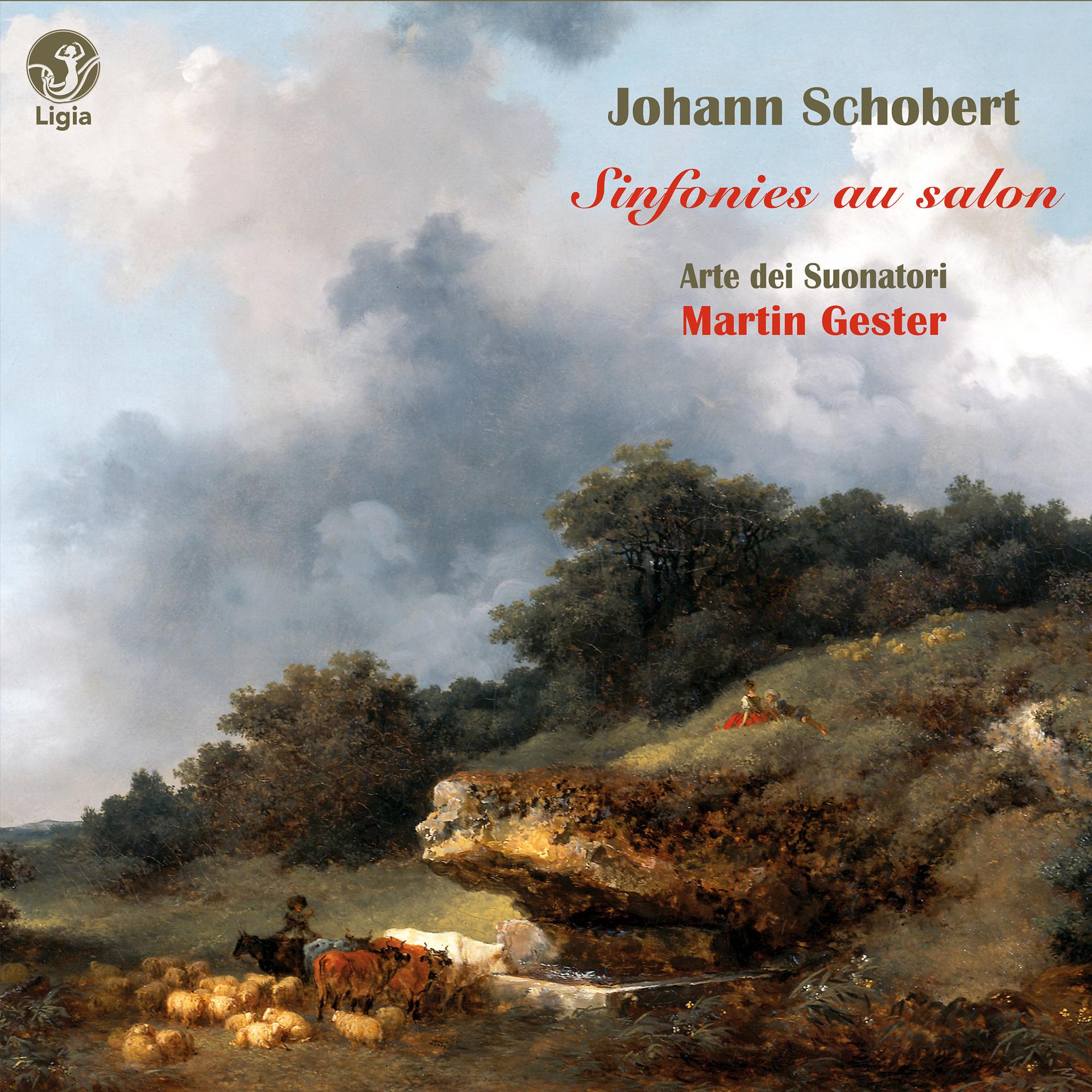 Постер альбома Schobert: Sinfonies au salon