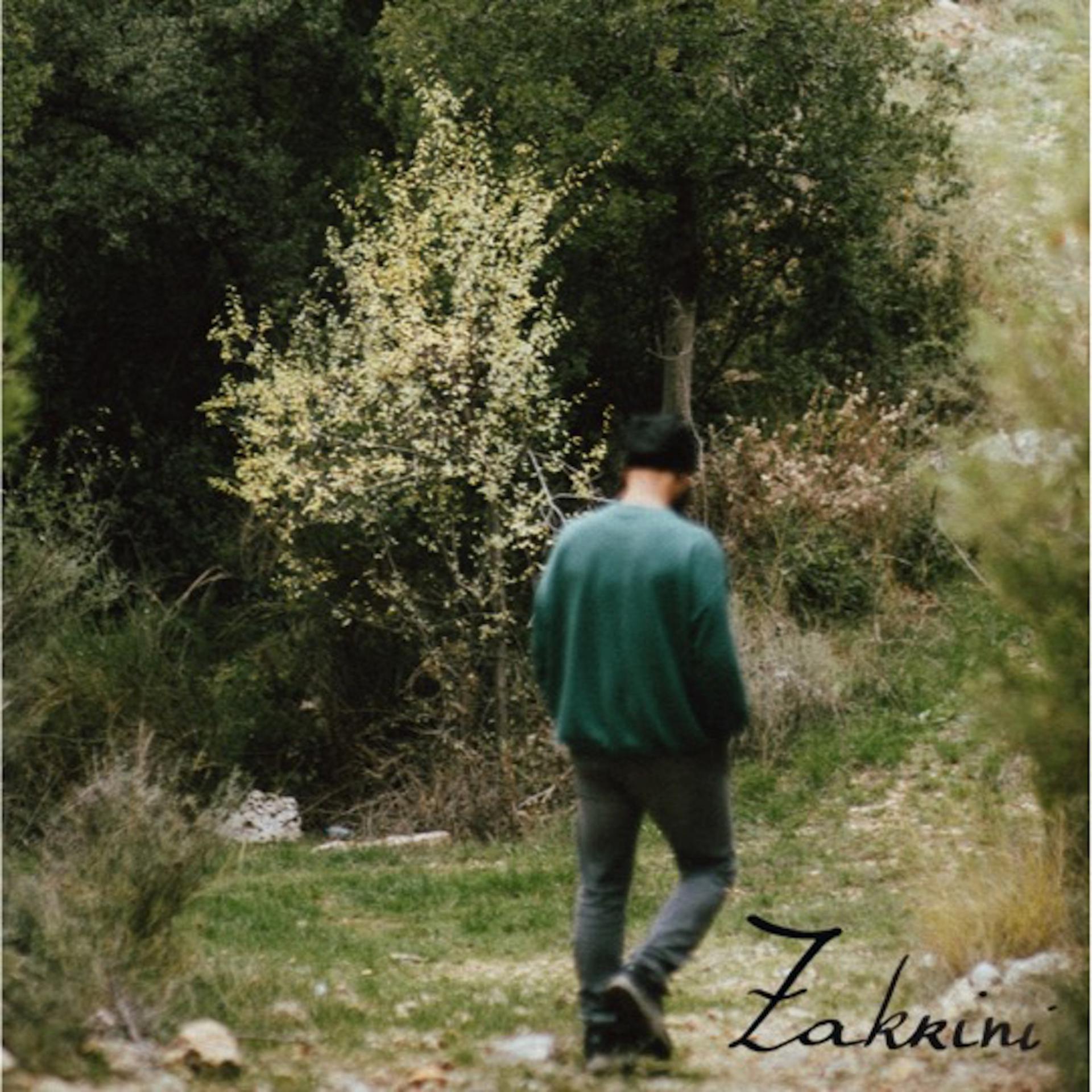 Постер альбома Zakrini