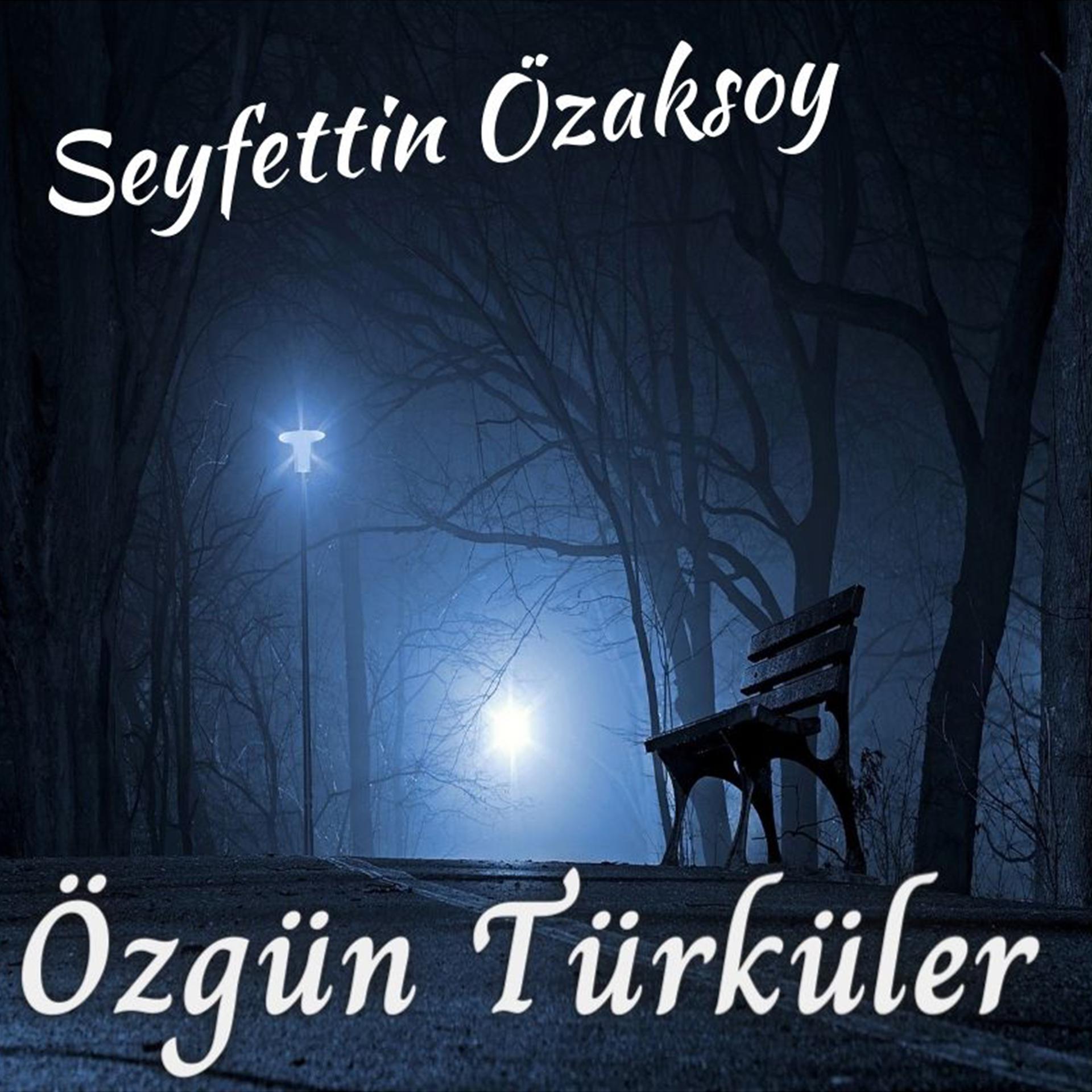 Постер альбома Özgün Türküler
