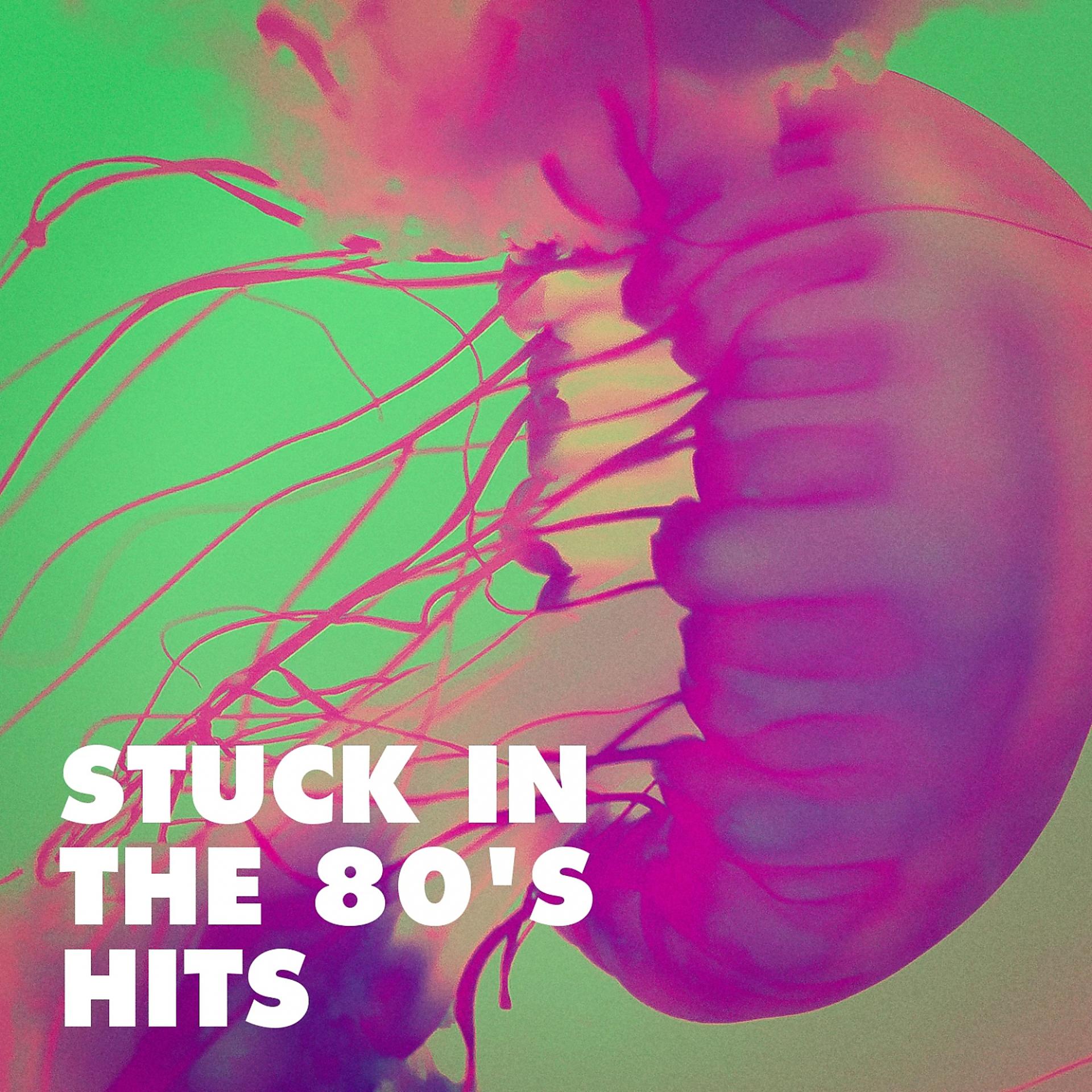 Постер альбома Stuck in the 80's Hits