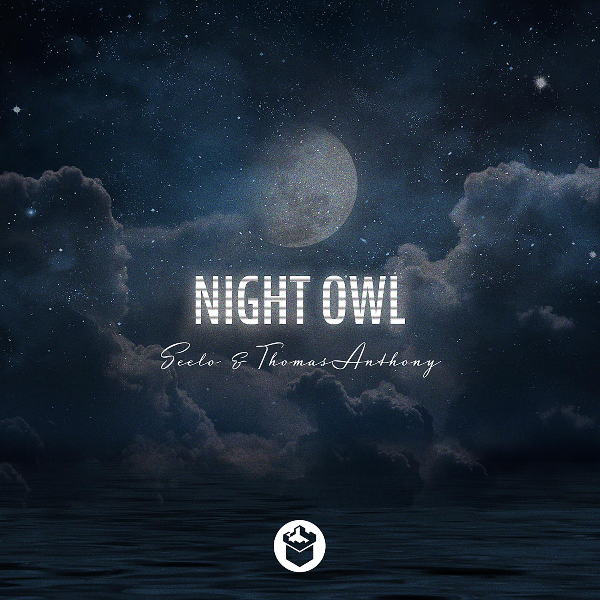 Постер альбома Night Owl