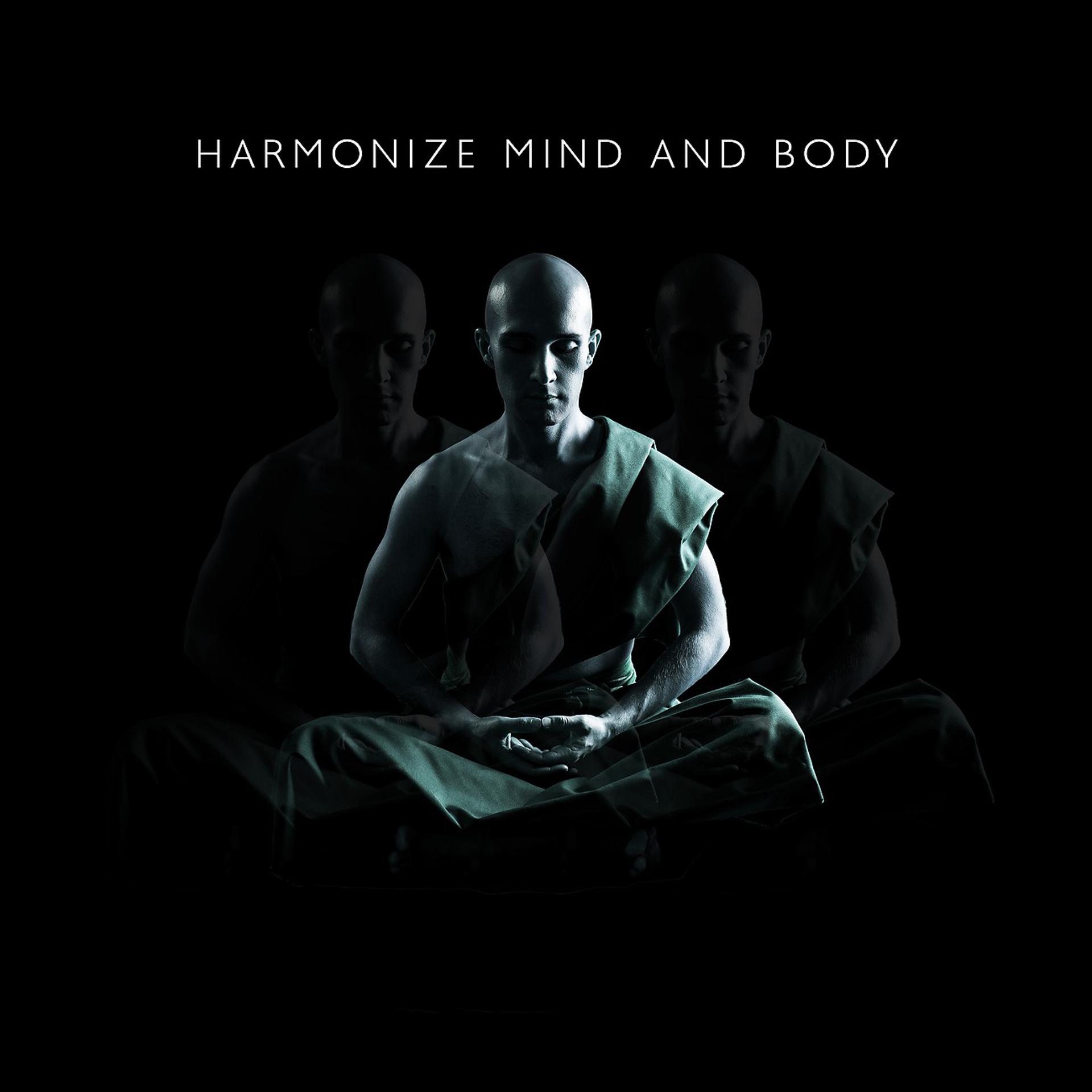 Постер альбома Harmonize Mind and Body