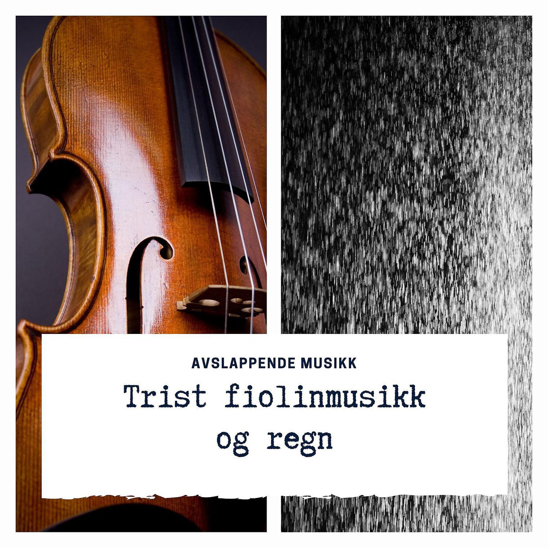 Постер альбома Trist fiolinmusikk og regn