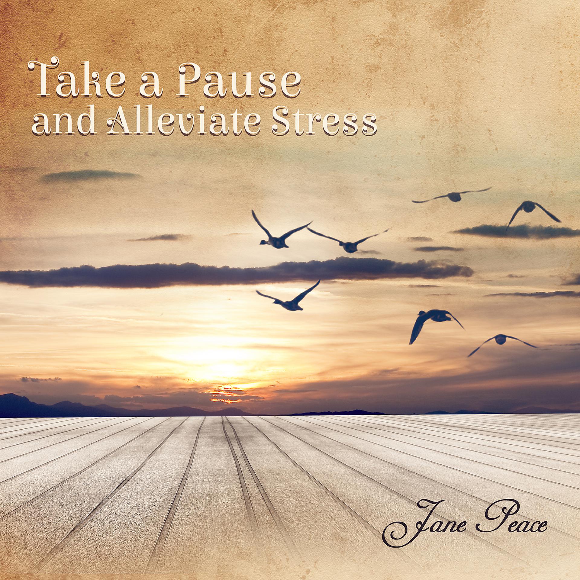 Постер альбома Take a Pause and Alleviate Stress