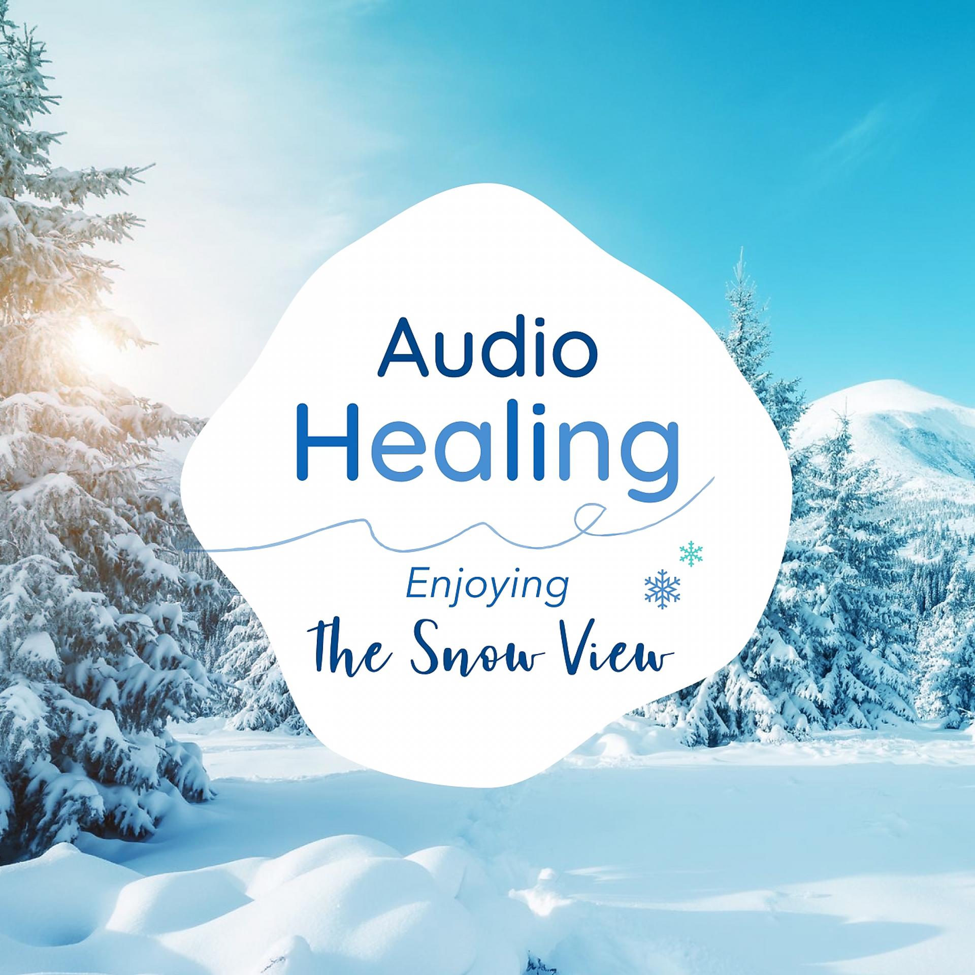 Постер альбома Audio Healing-Enjoying the Snow View-