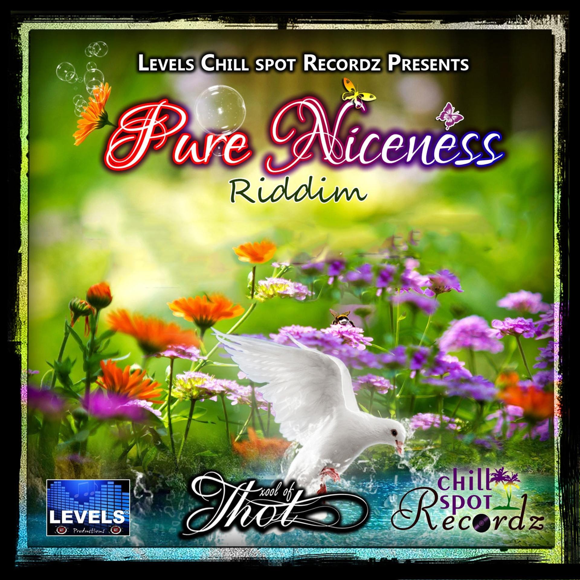 Постер альбома Pure Niceness Riddim