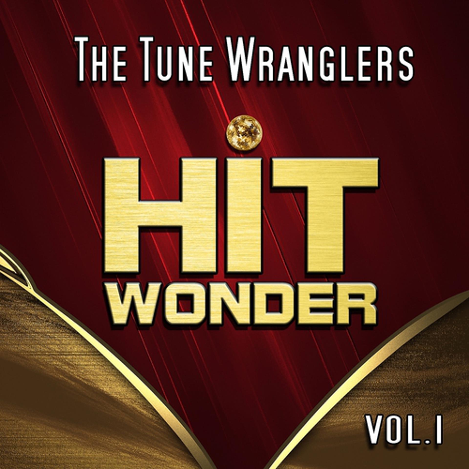 Постер альбома Hit Wonder: The Tune Wranglers, Vol. 1