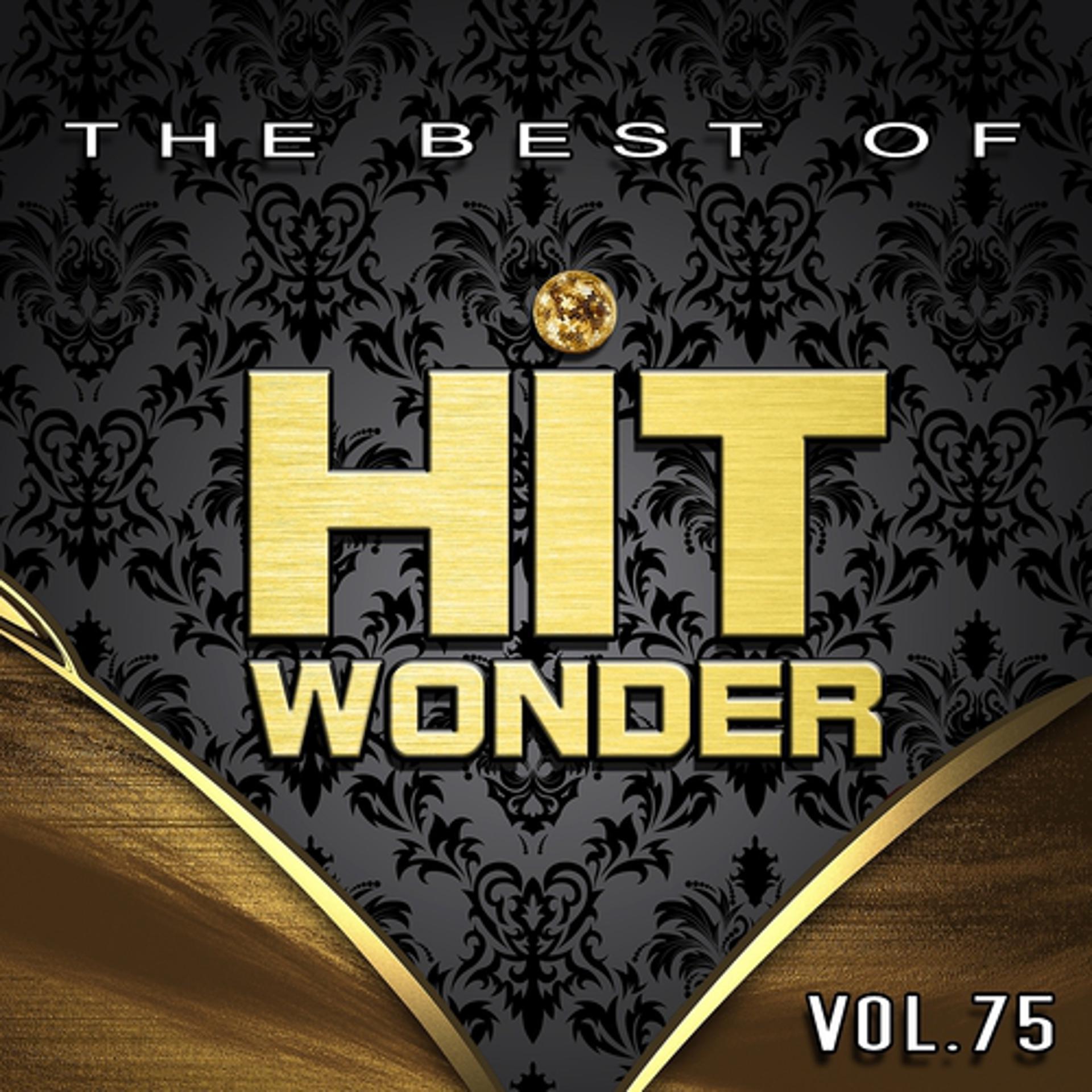 Постер альбома Hit Wonder: The Best of, Vol. 75