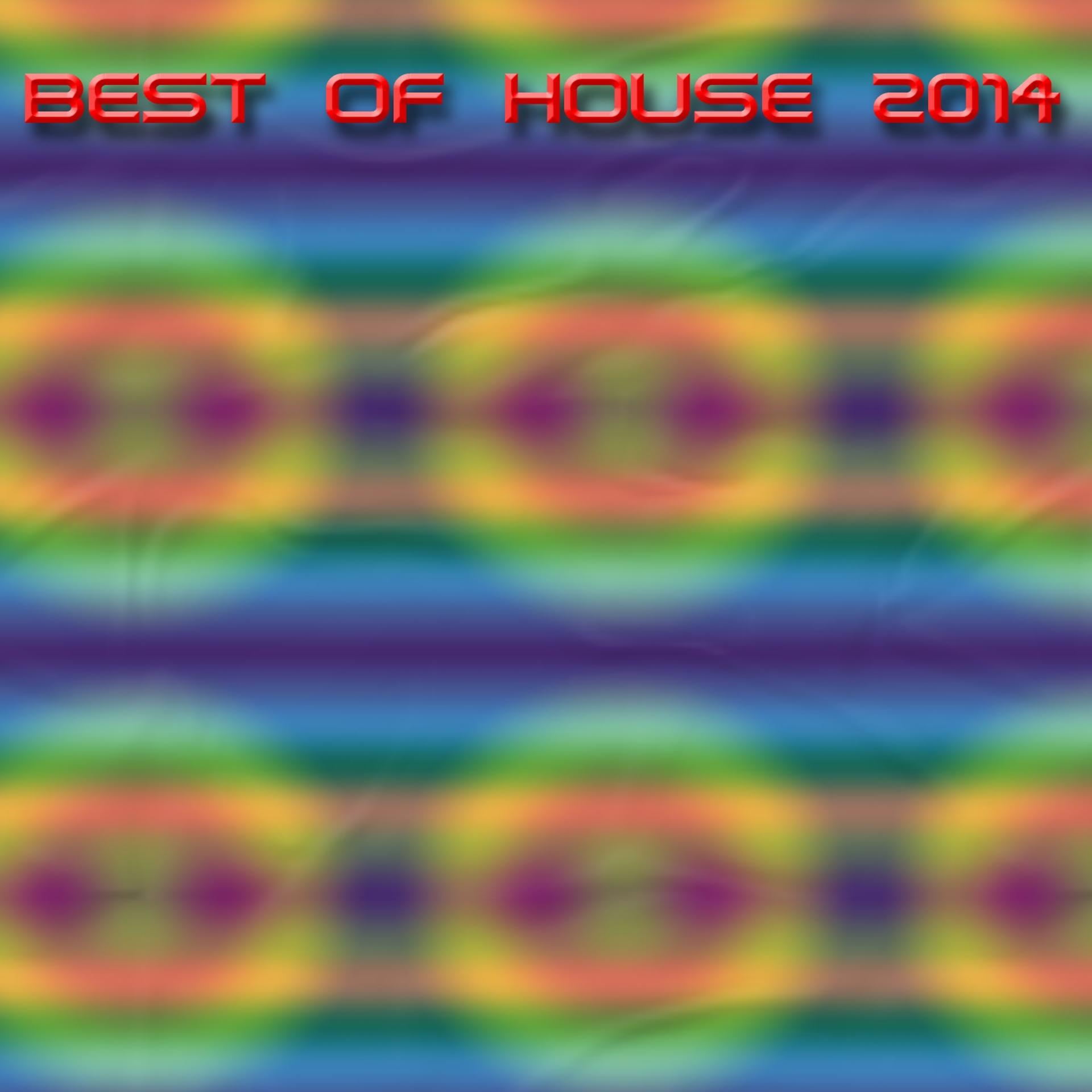 Постер альбома Best of House 2014