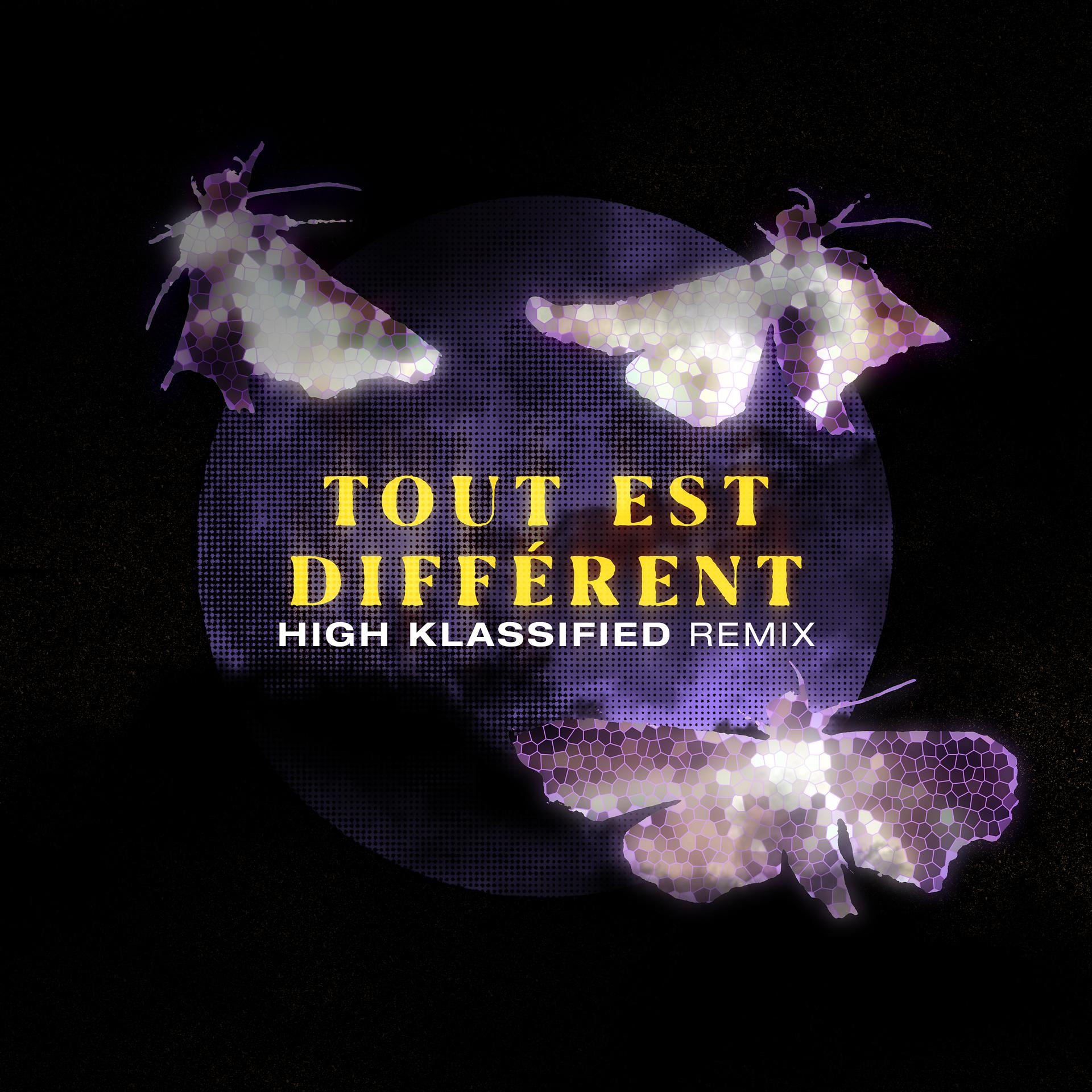 Постер альбома Tout est différent (High Klassified Remix)