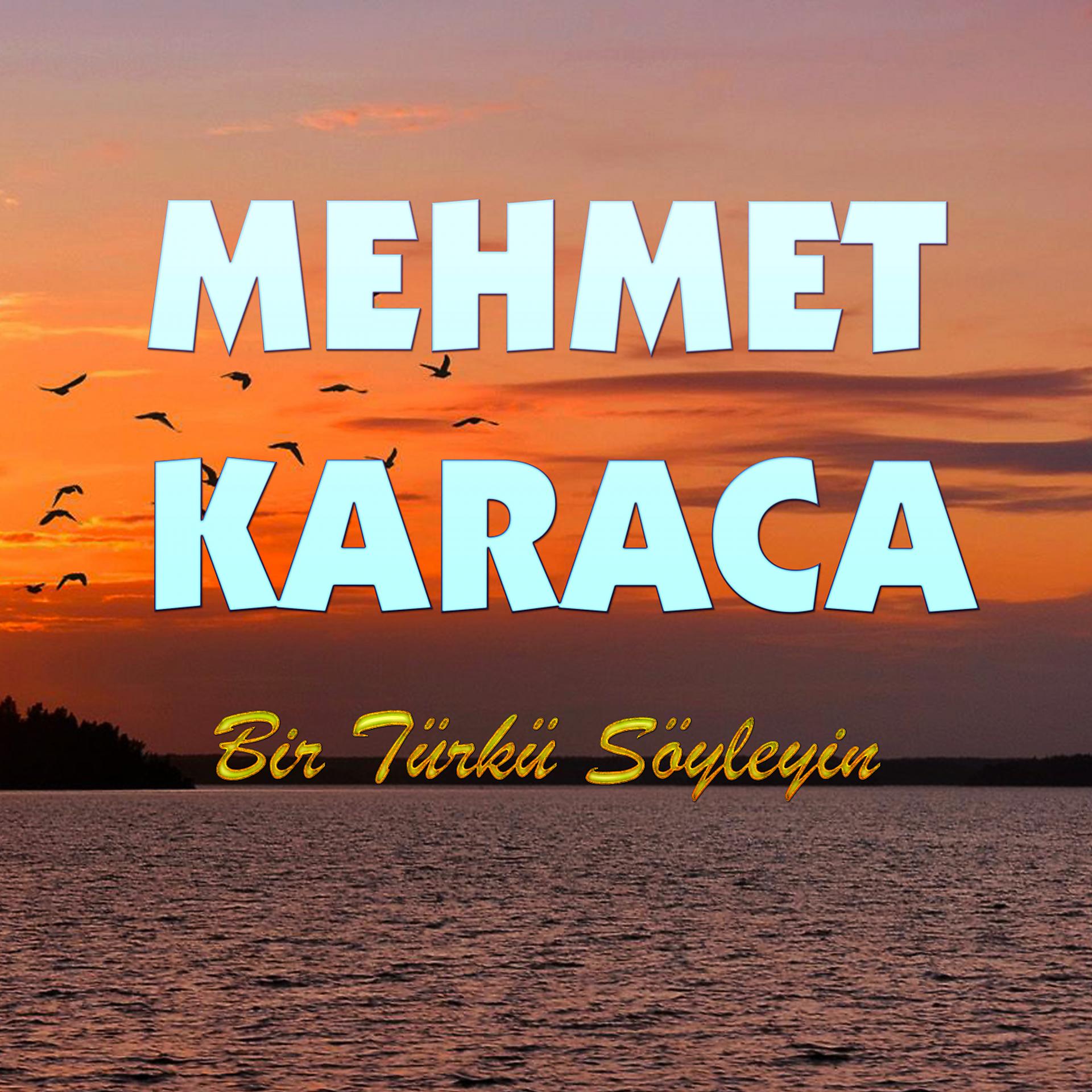 Постер альбома Bir Türkü Söyleyin