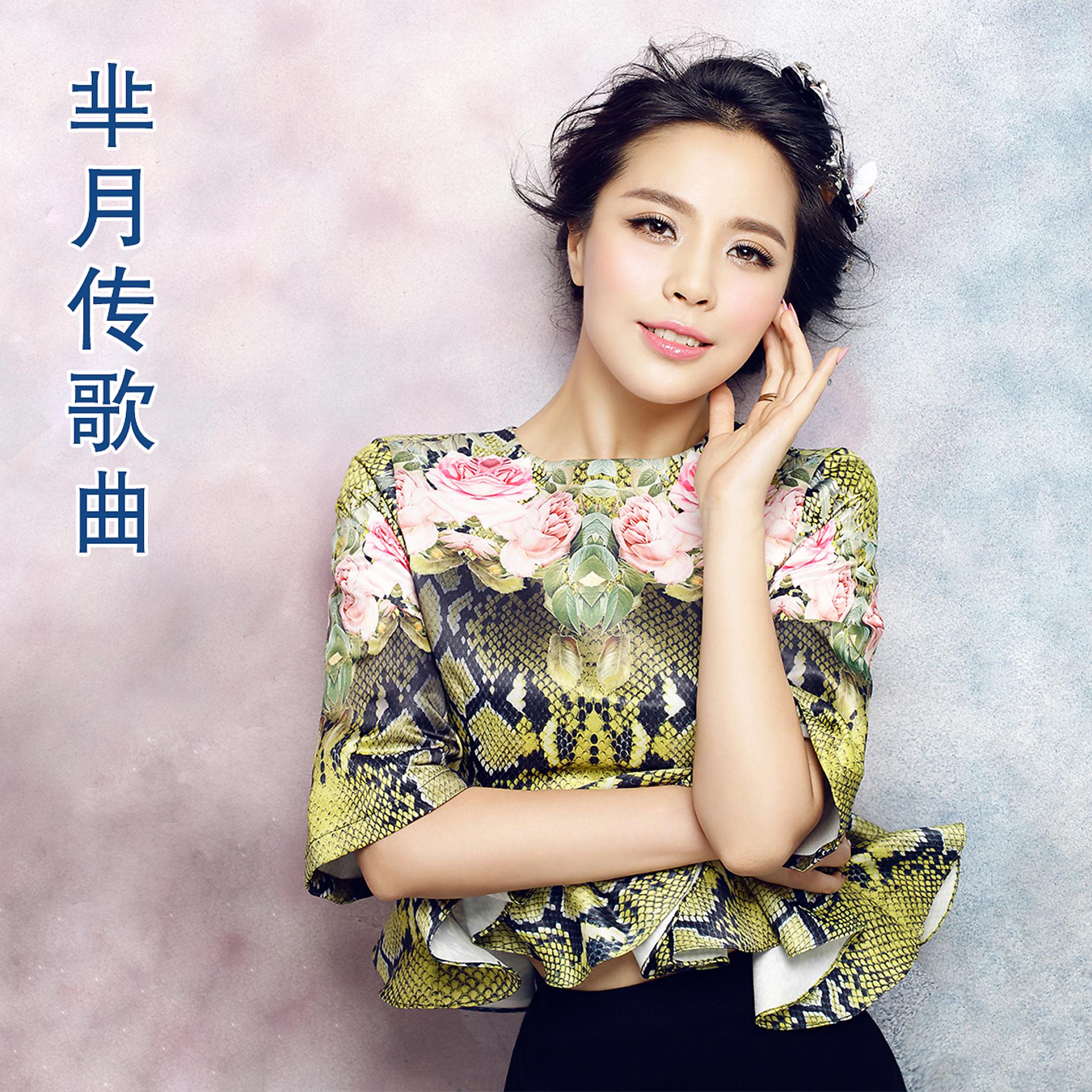 Постер альбома 芈月情