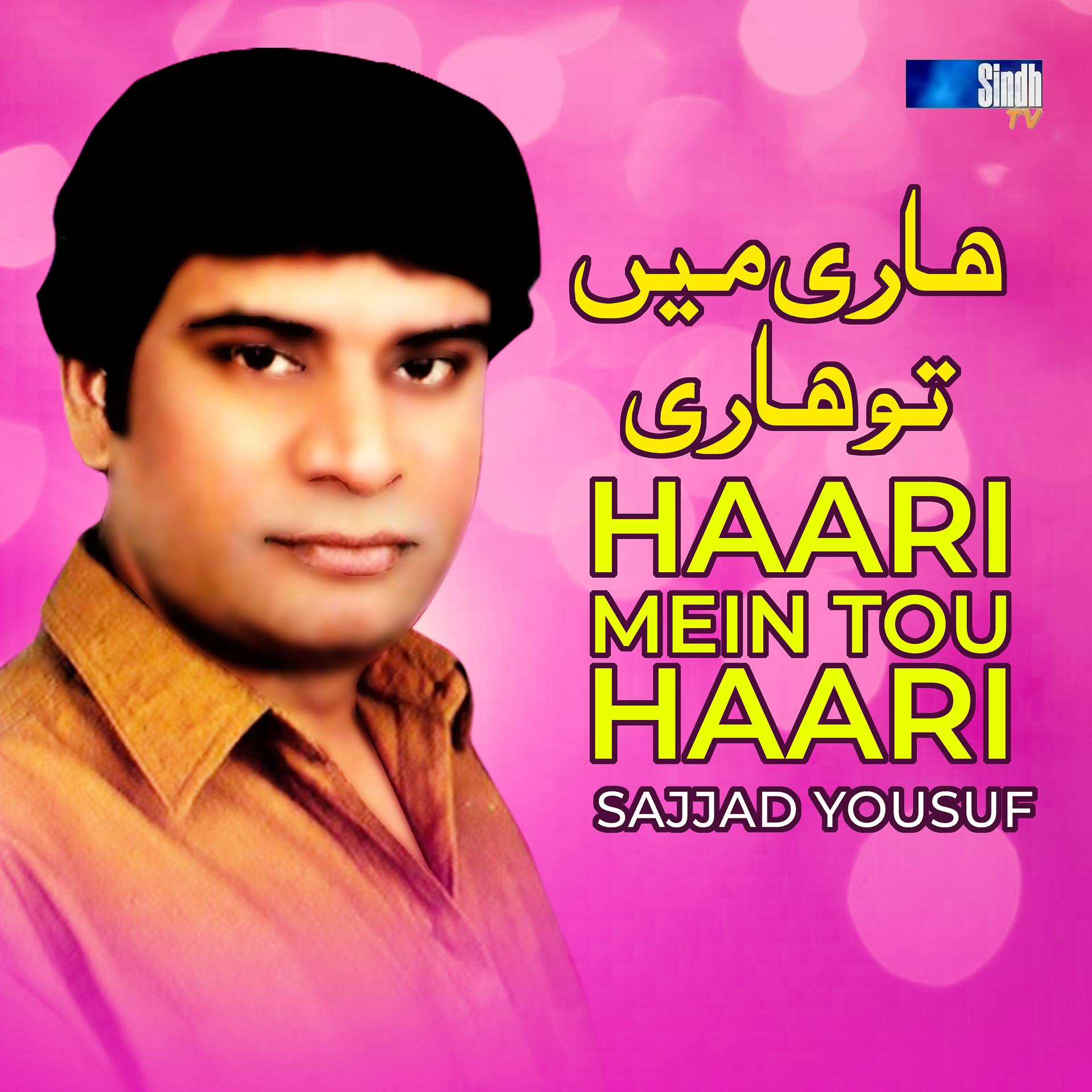Постер альбома Haari Mein Tou Haari - Single