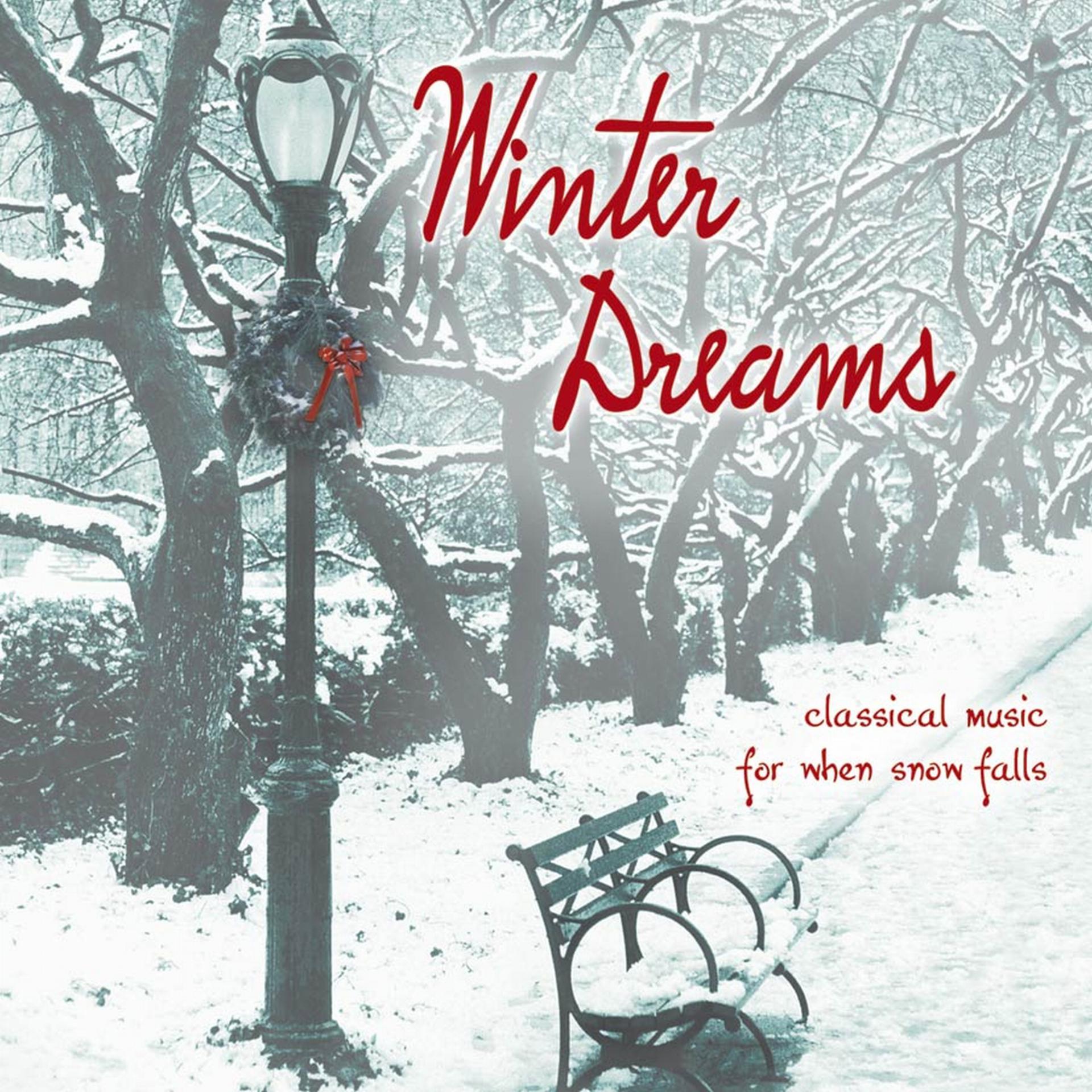 Постер альбома Winter Dreams: Classical Music For When Snow Falls