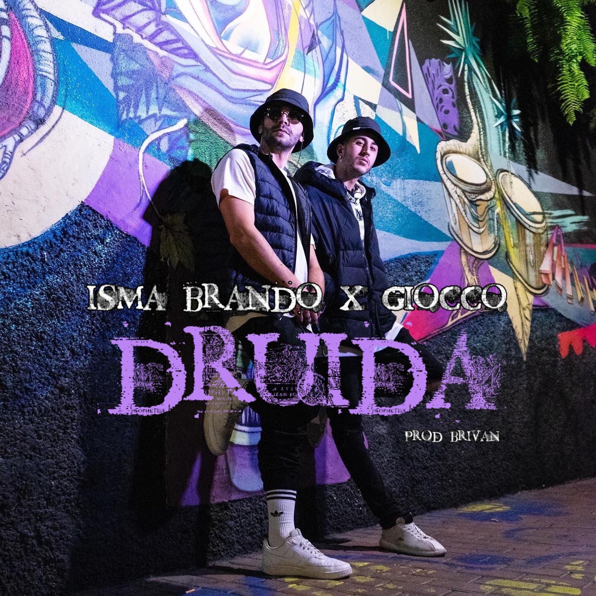 Постер альбома Druida
