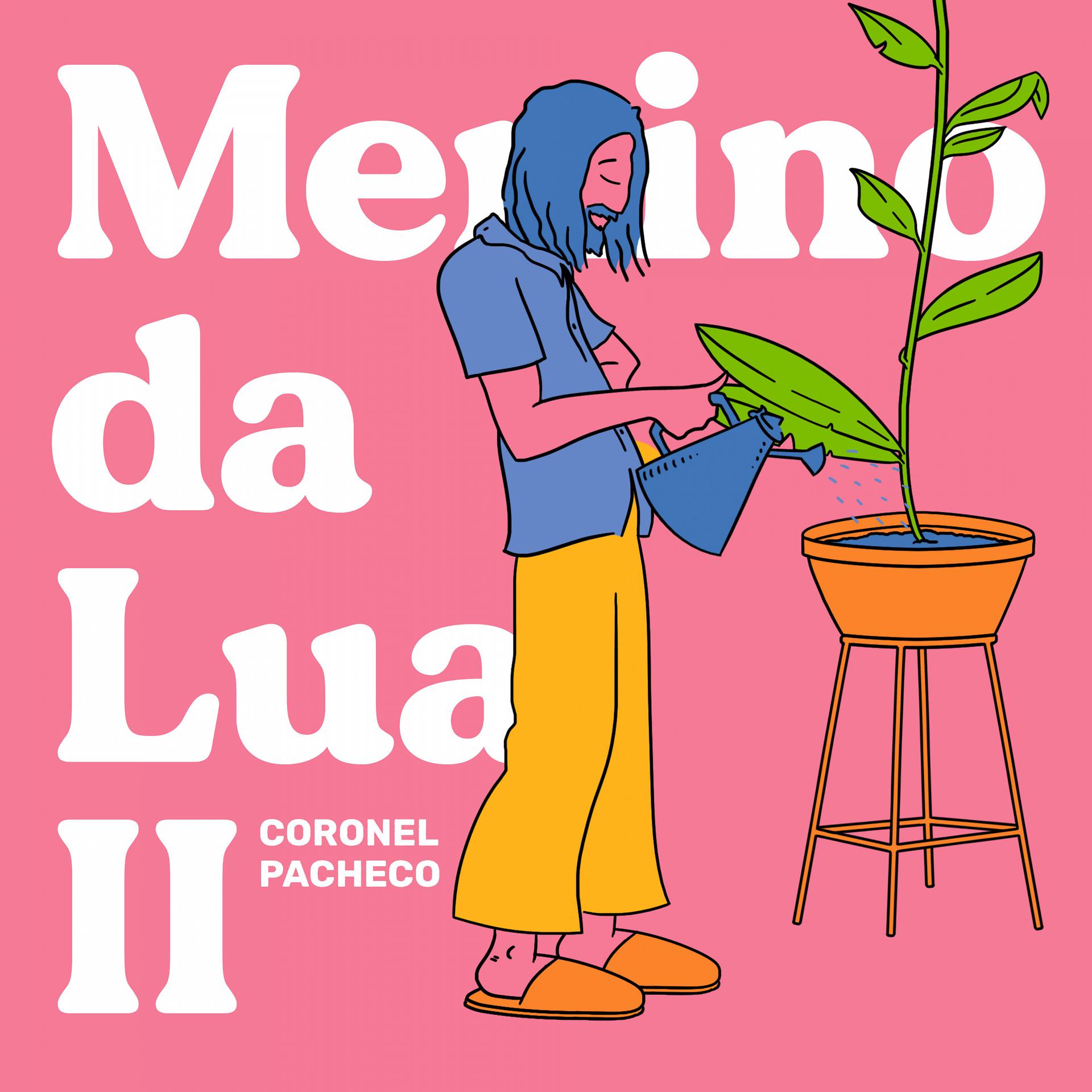 Постер альбома Menino da Lua II