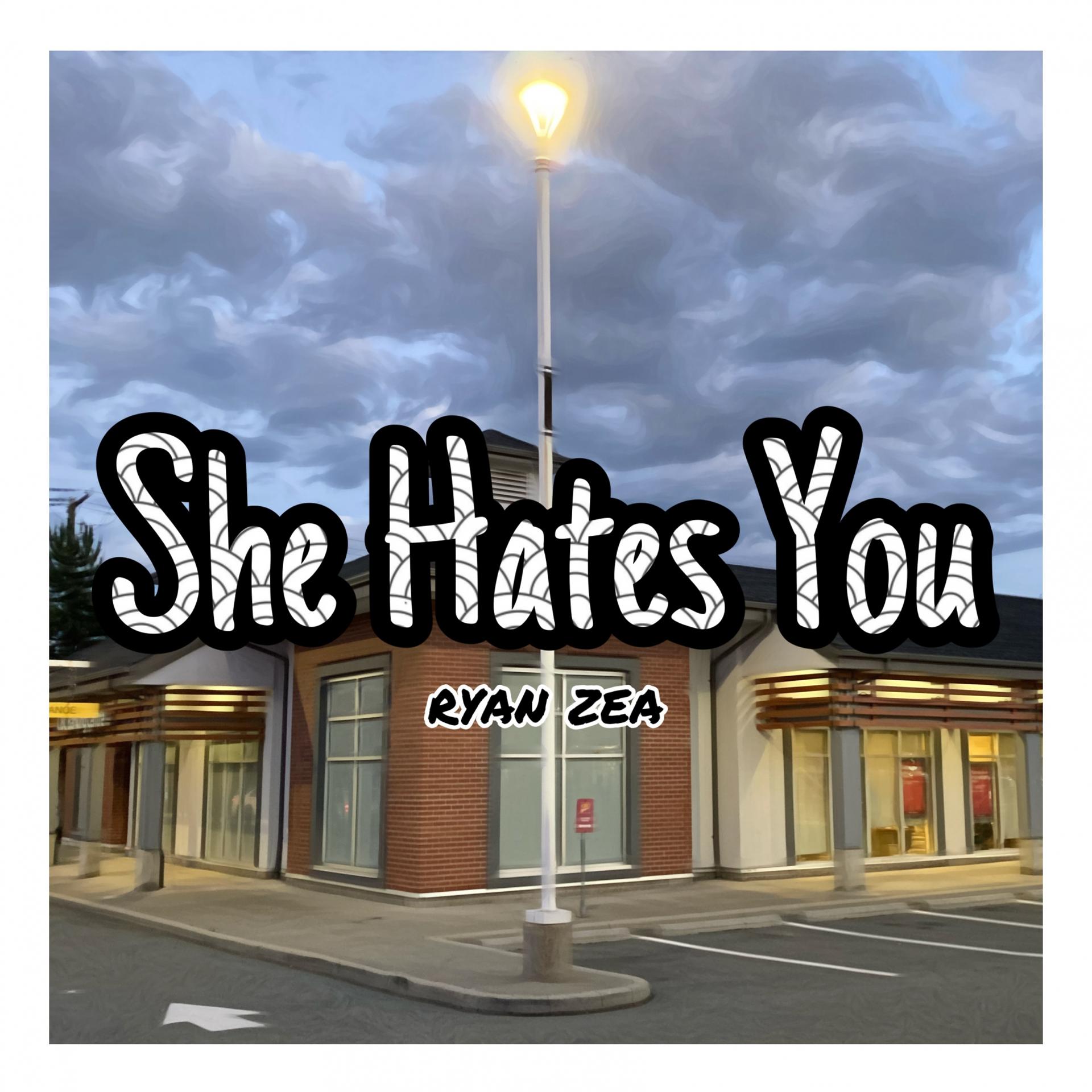 Постер альбома She Hates You