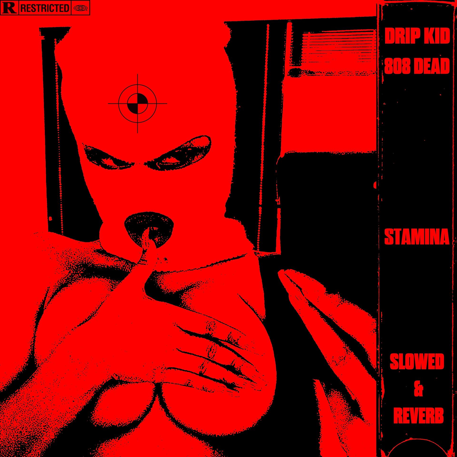 Постер альбома Stamina (Slowed & Reverb)