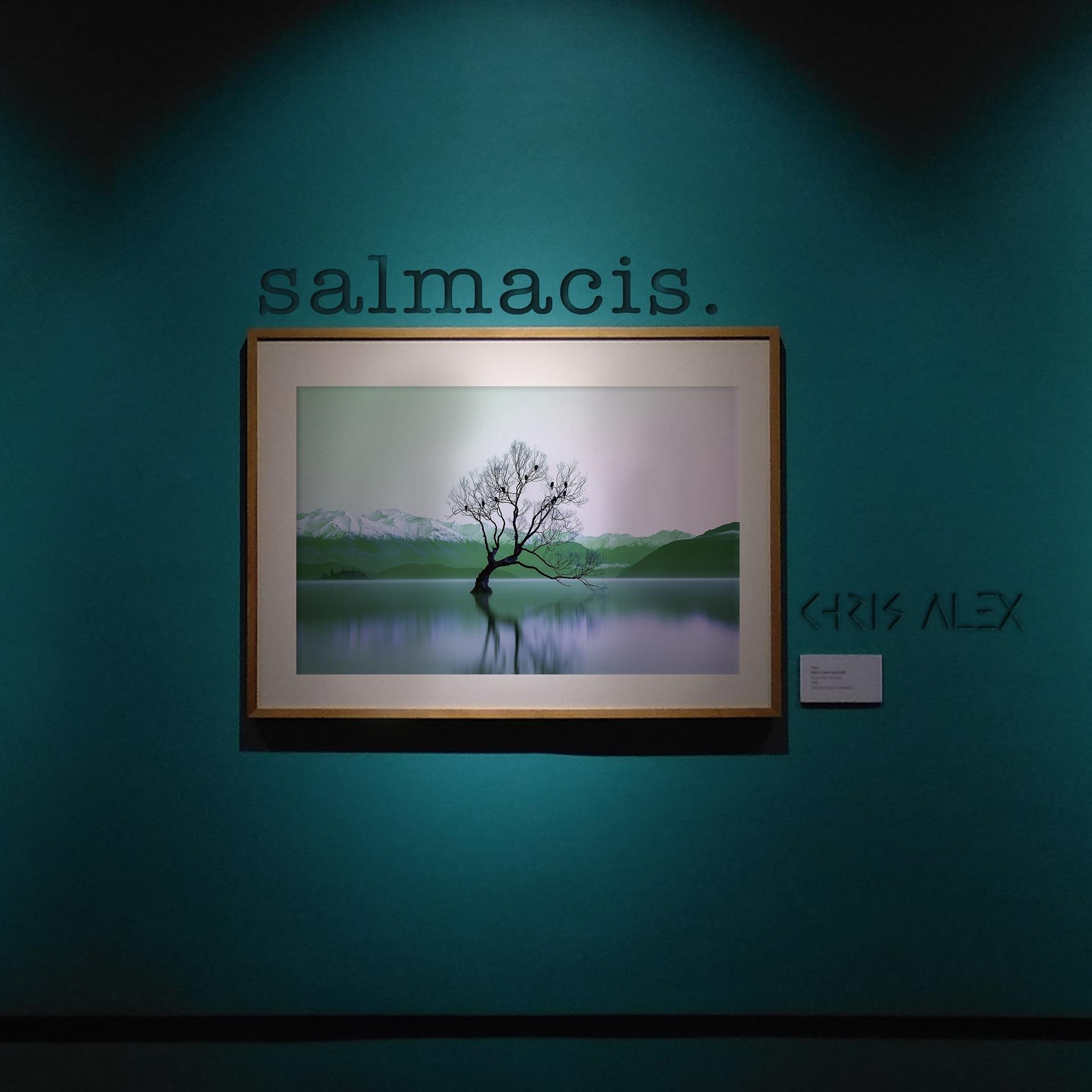 Постер альбома Salmacis