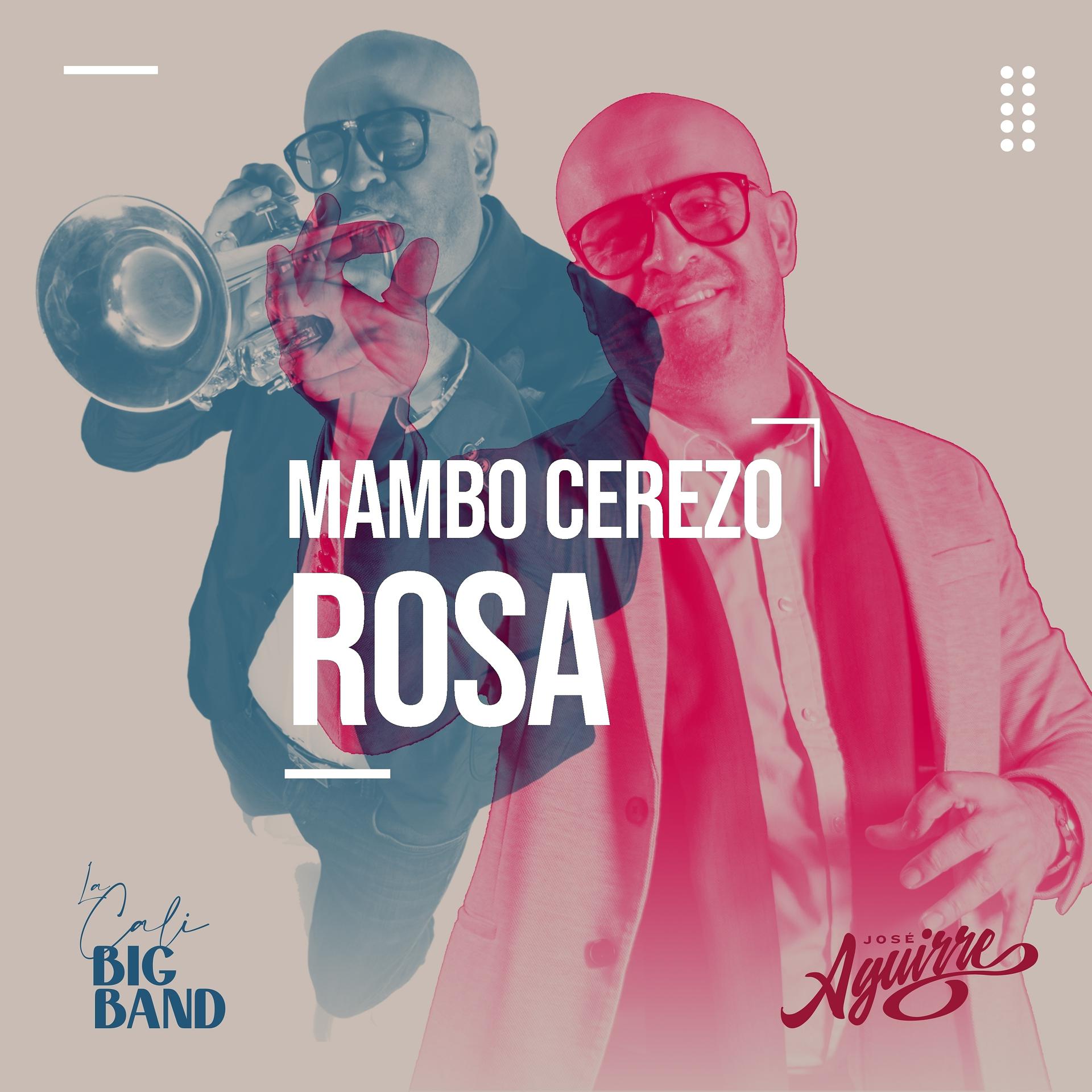 Постер альбома Mambo Cerezo Rosa