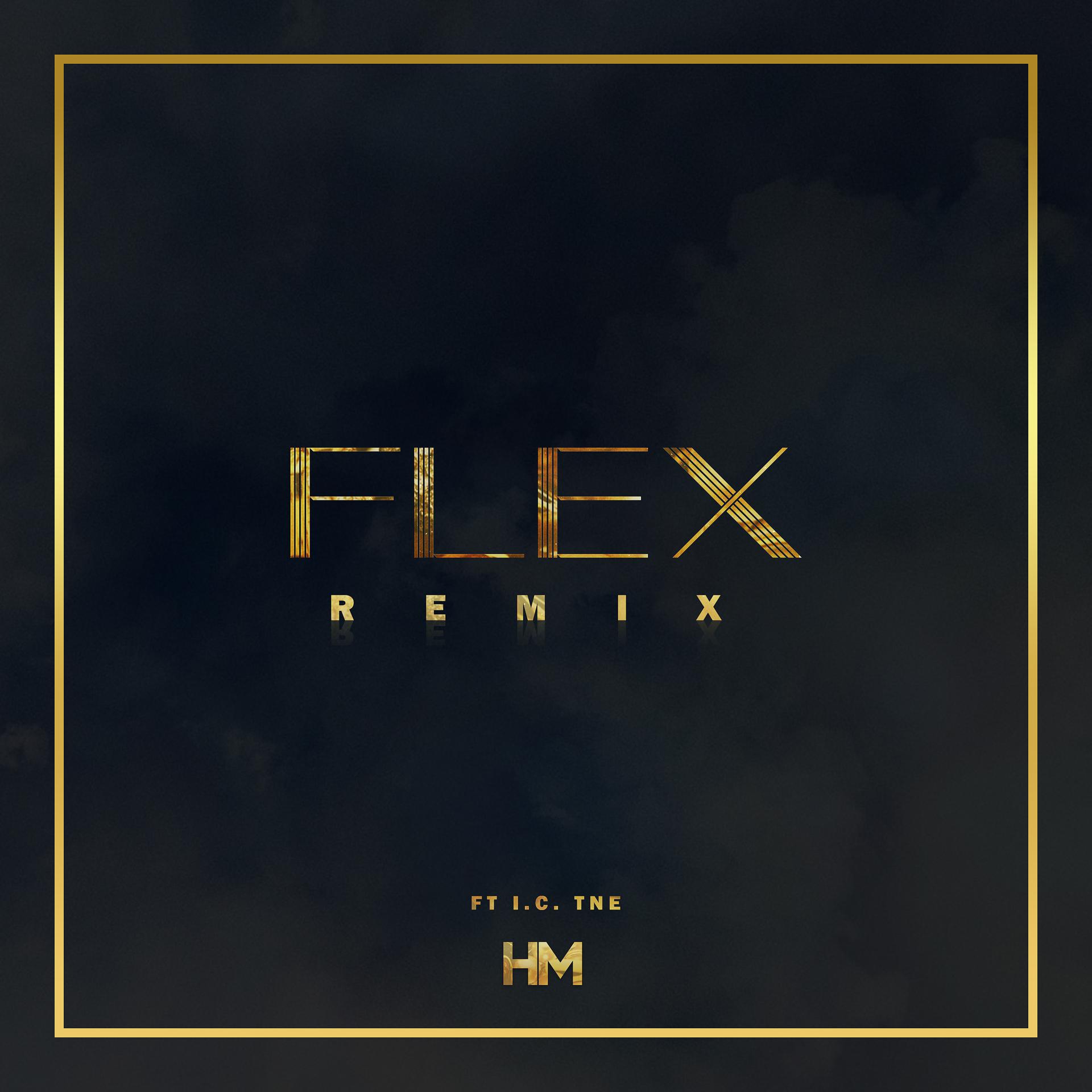Постер альбома Flex (Remix)