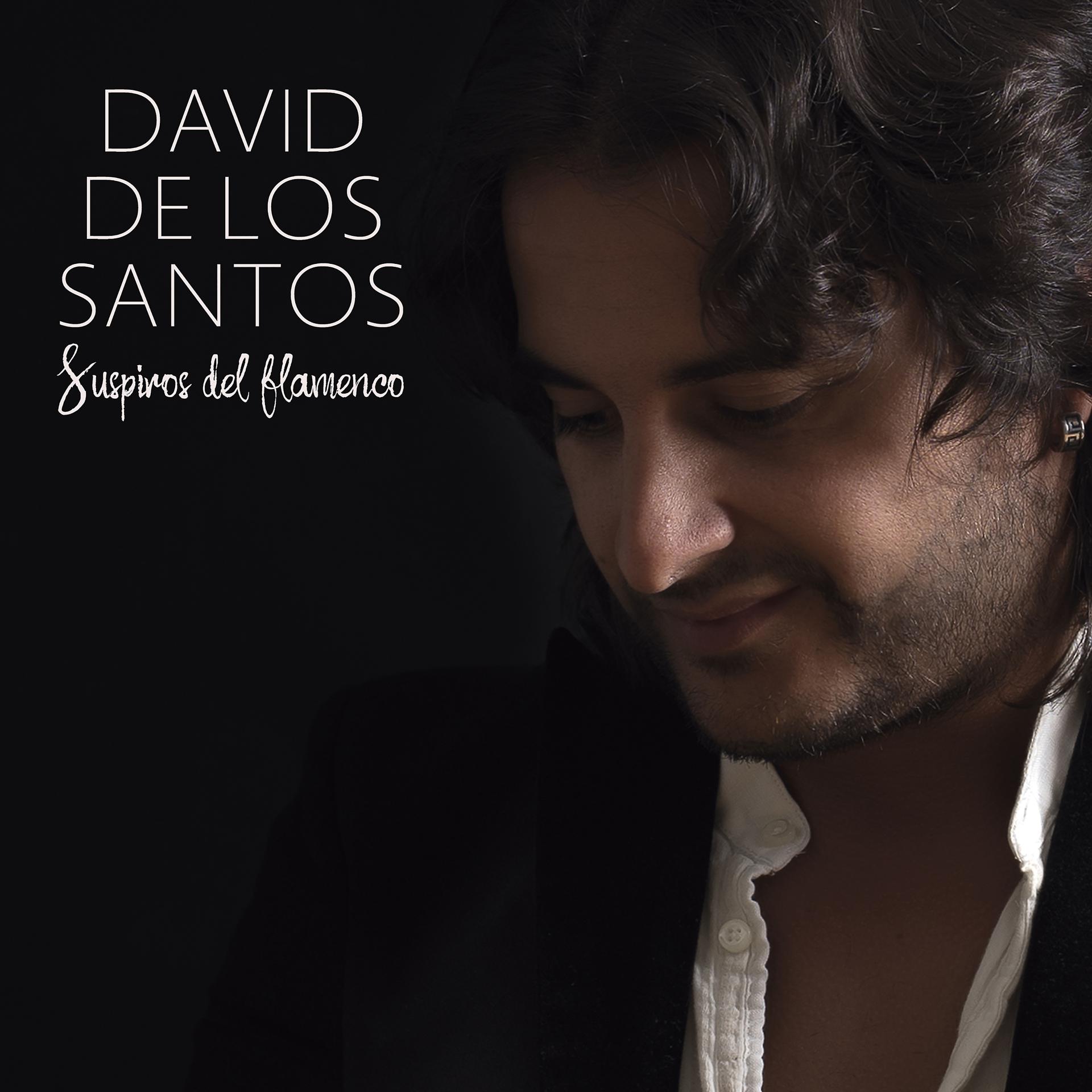 Постер альбома Suspiros del Flamenco (Tangos)