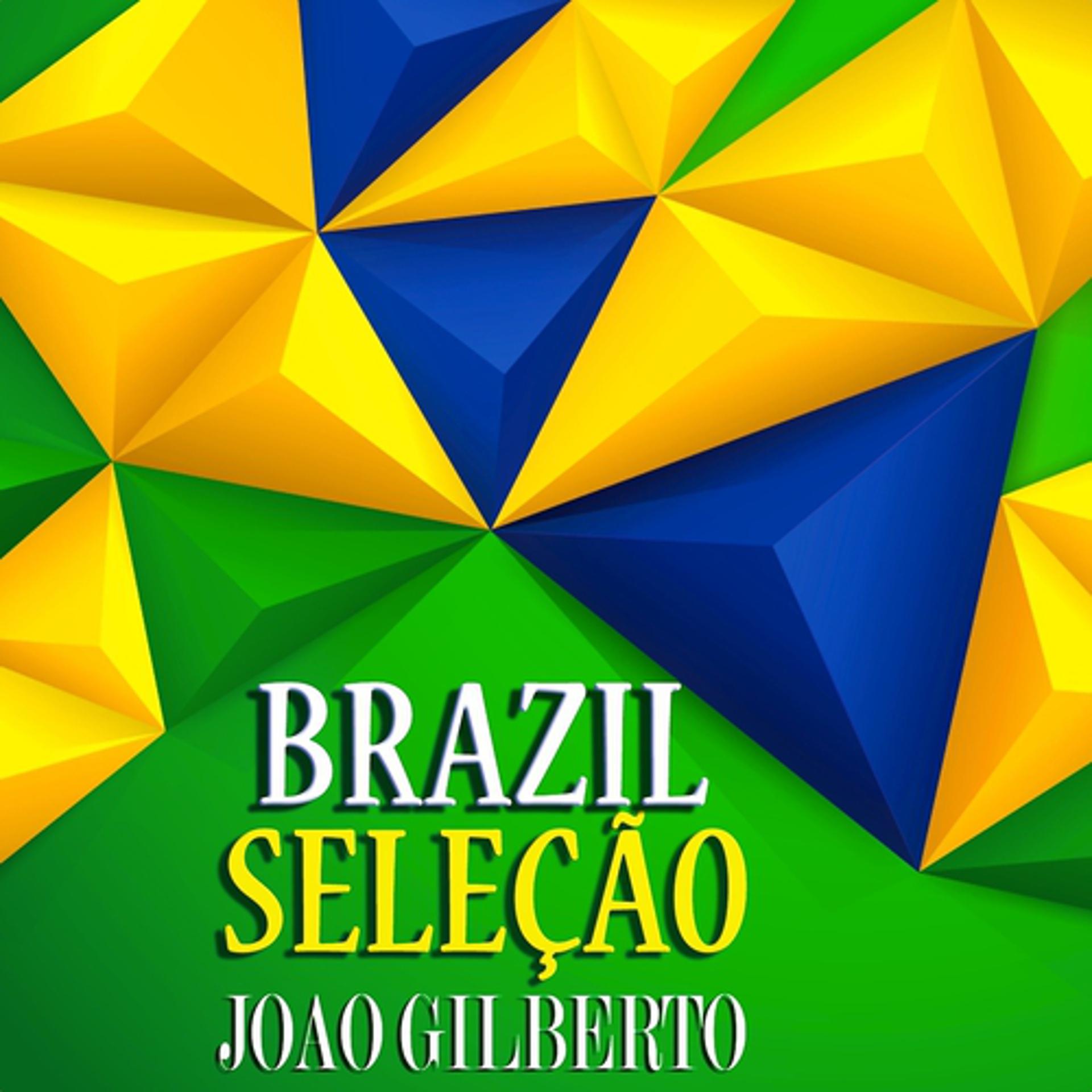 Постер альбома Brasil Seleção