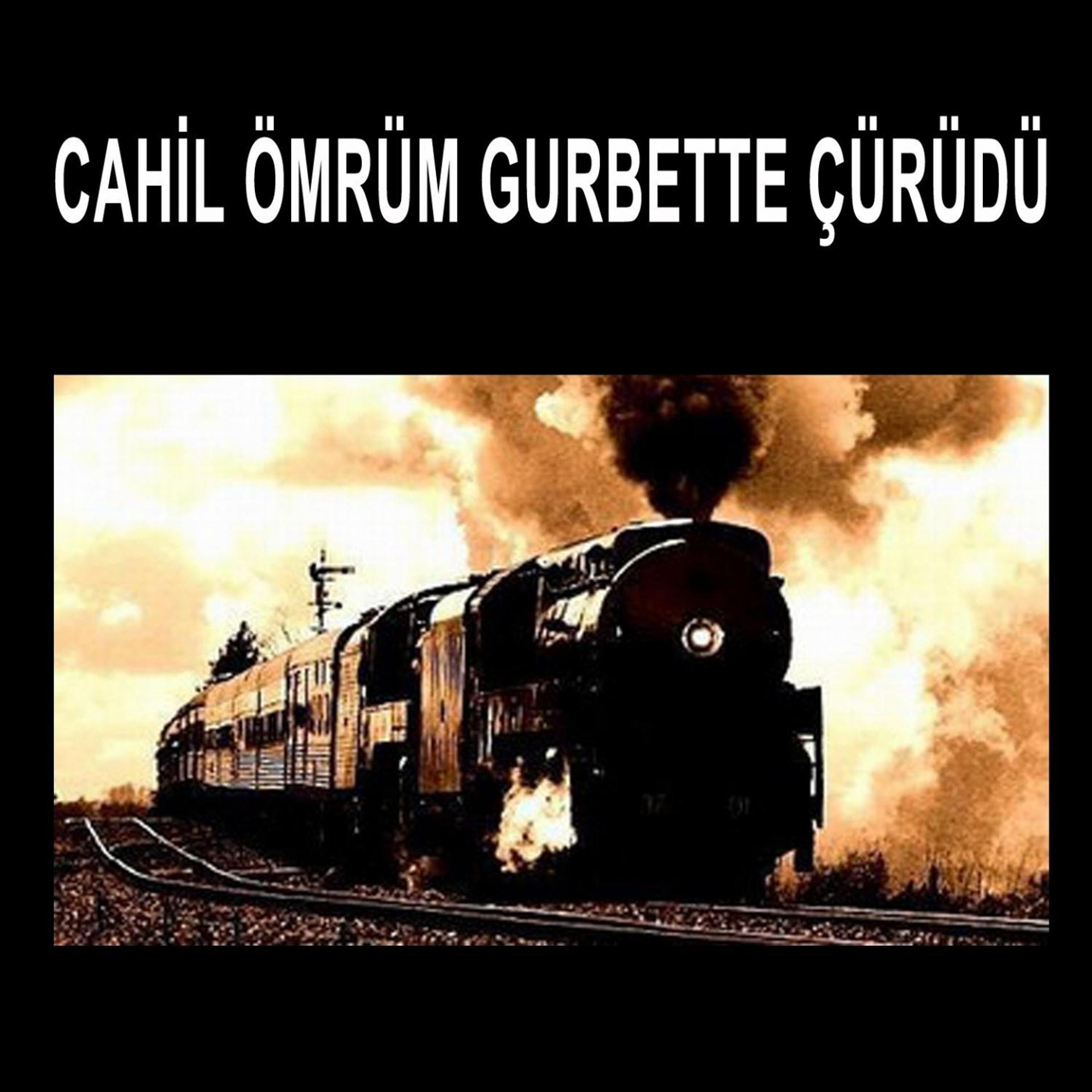 Постер альбома Cahil Ömrüm Gurbette Çürüdü
