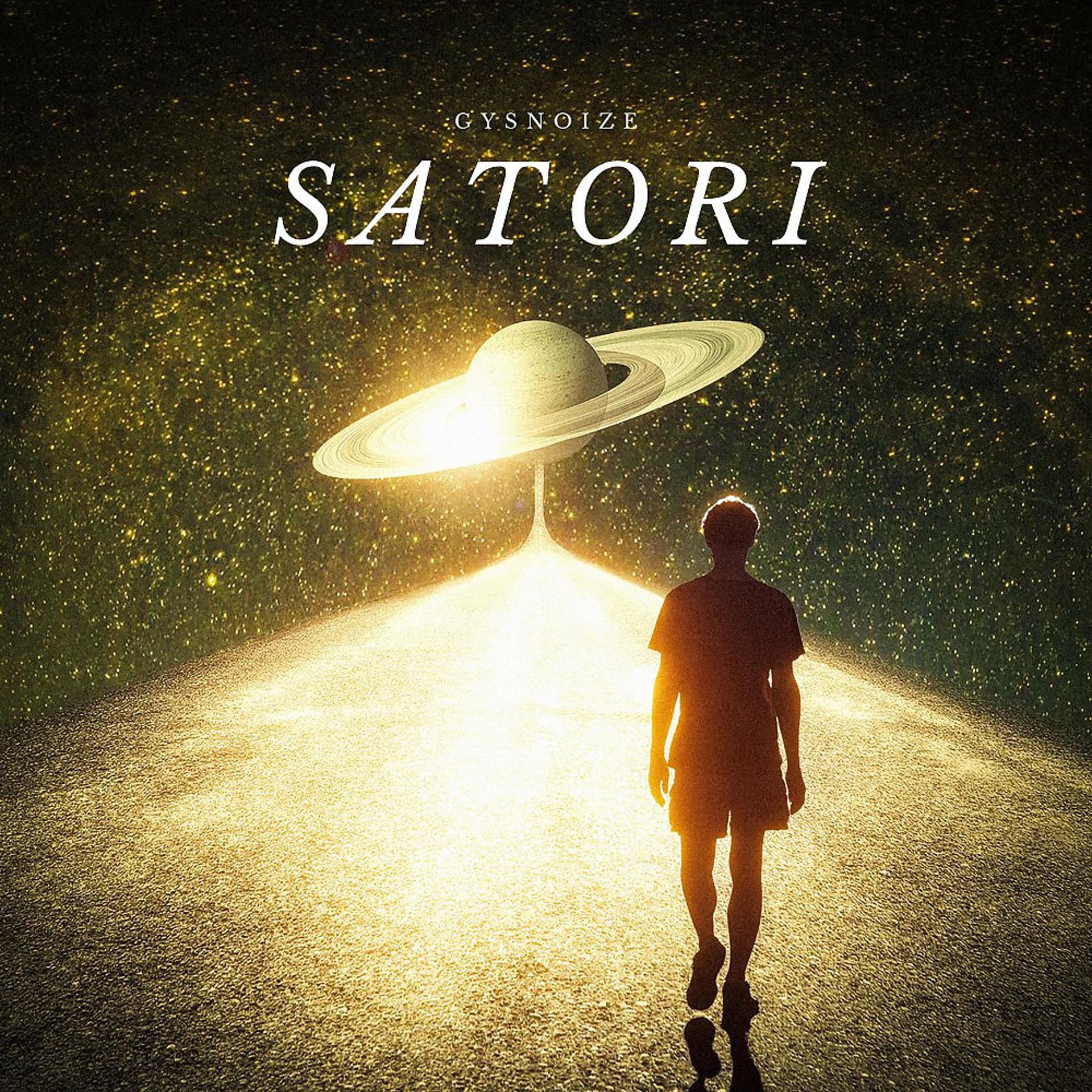 Постер альбома Satori