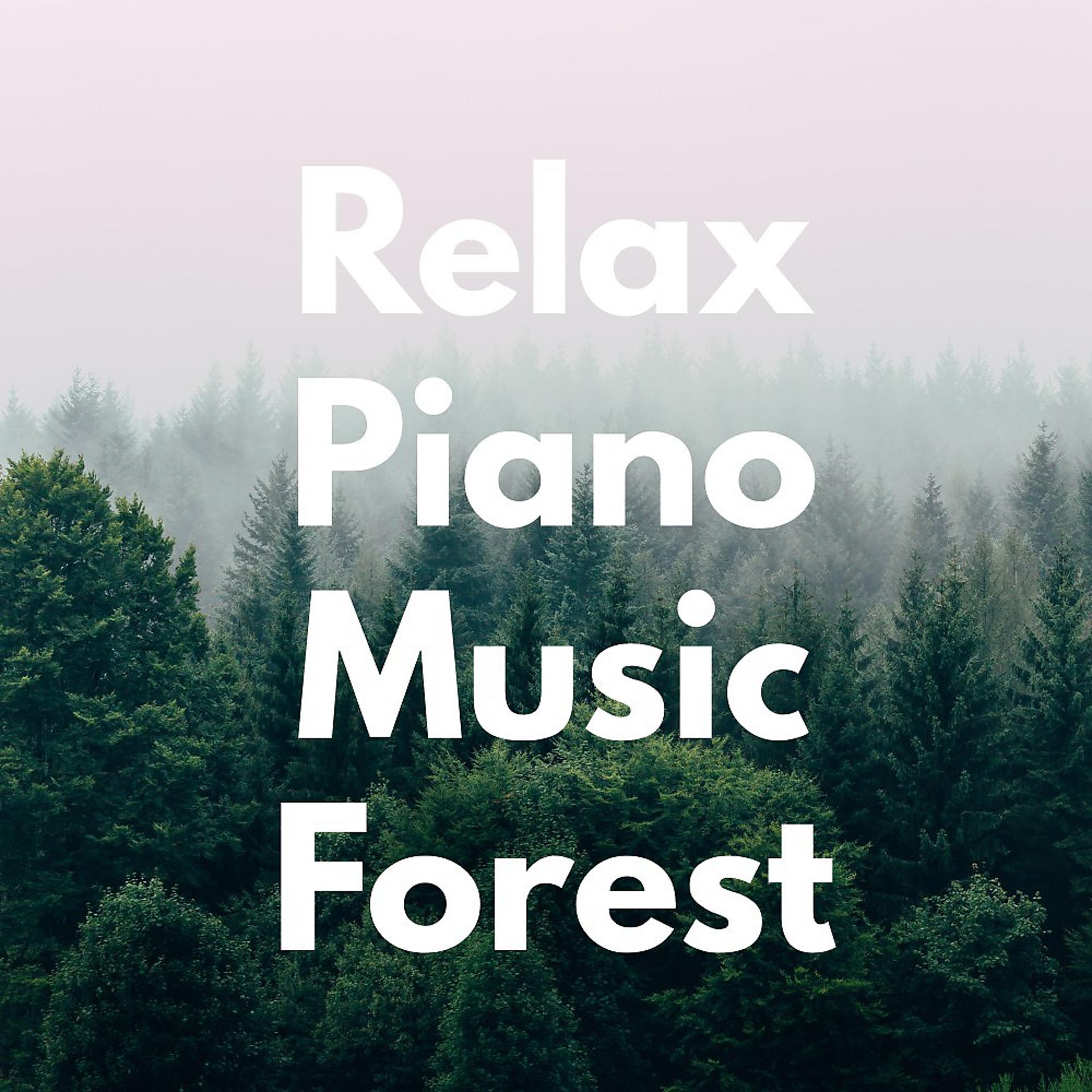 Постер альбома Relax Piano Music Forest