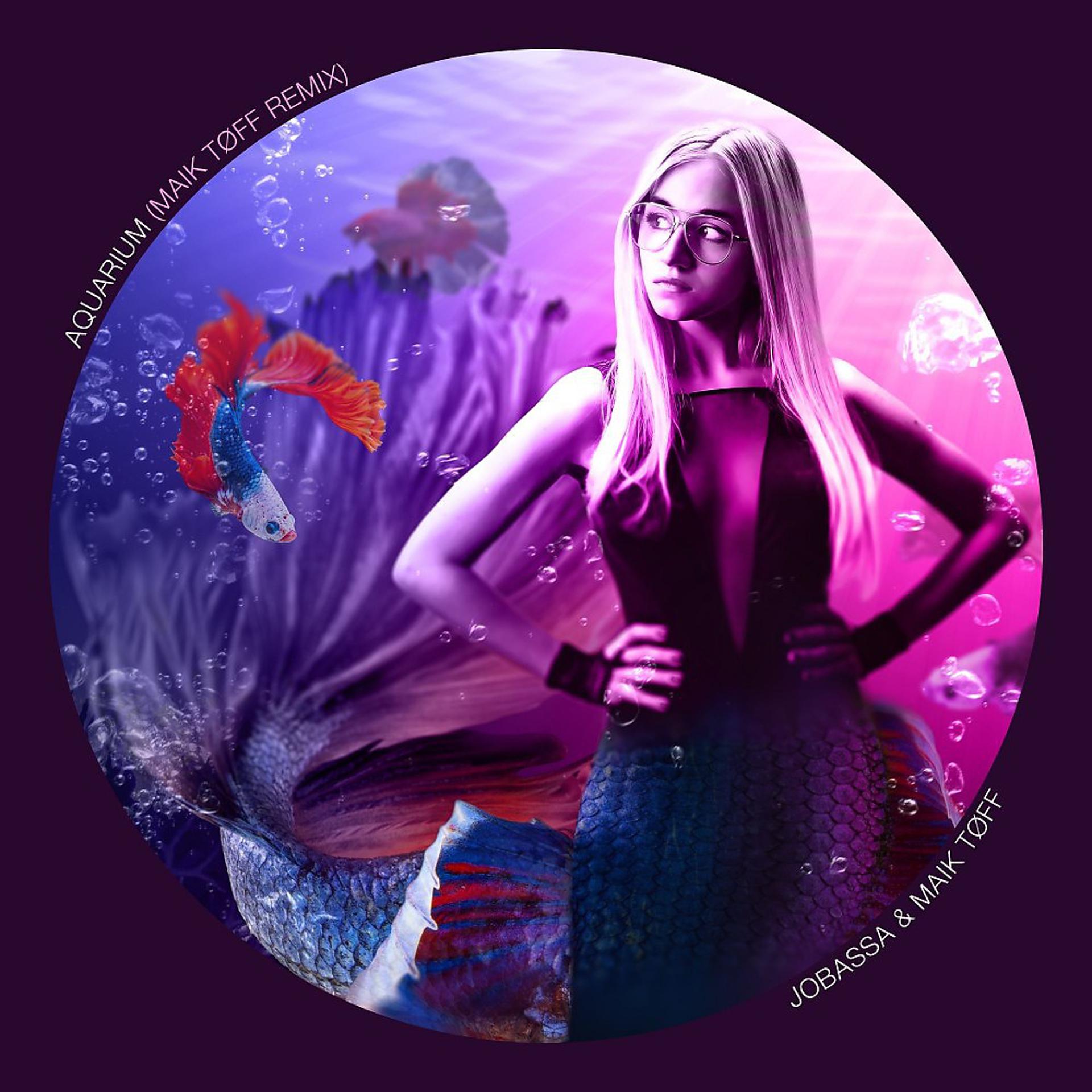 Постер альбома Aquarium (Maik Tøff Remix)