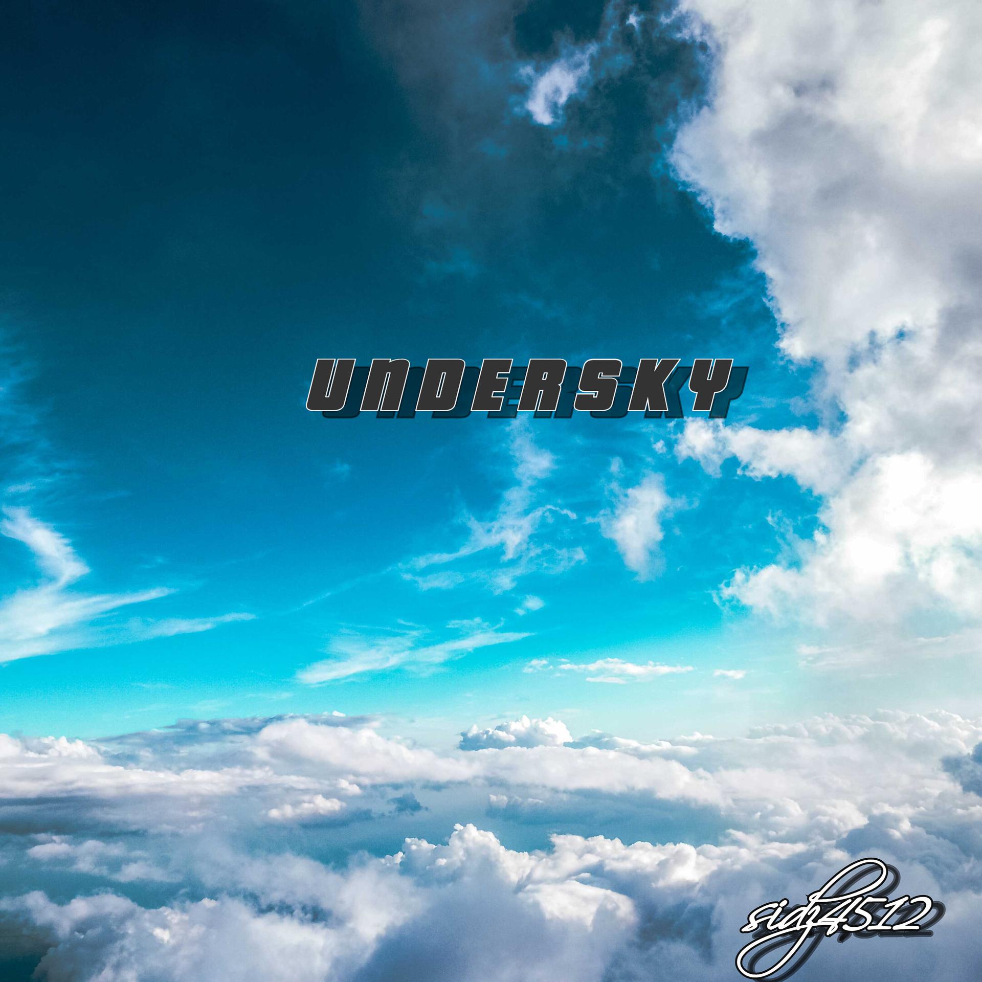 Постер альбома Undersky