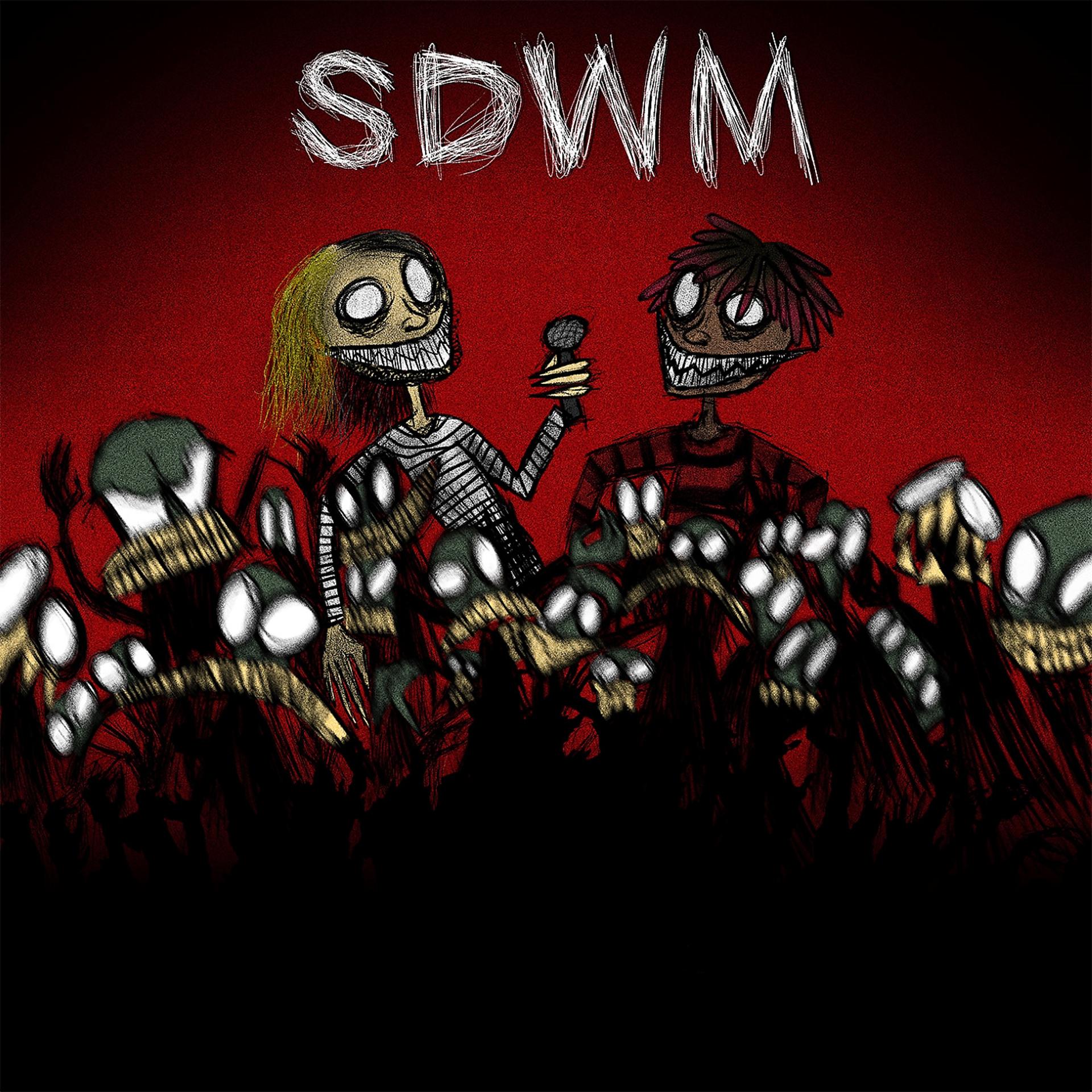 Постер альбома SDWM