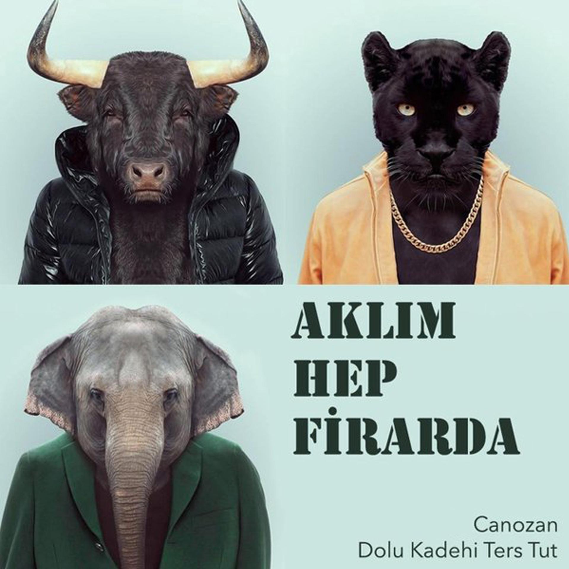 Постер альбома Aklım Hep Firarda