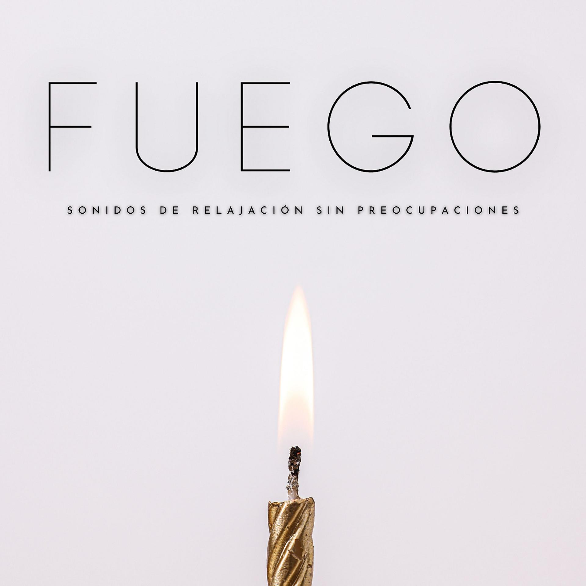 Постер альбома Fuego: Sonidos De Relajación Sin Preocupaciones