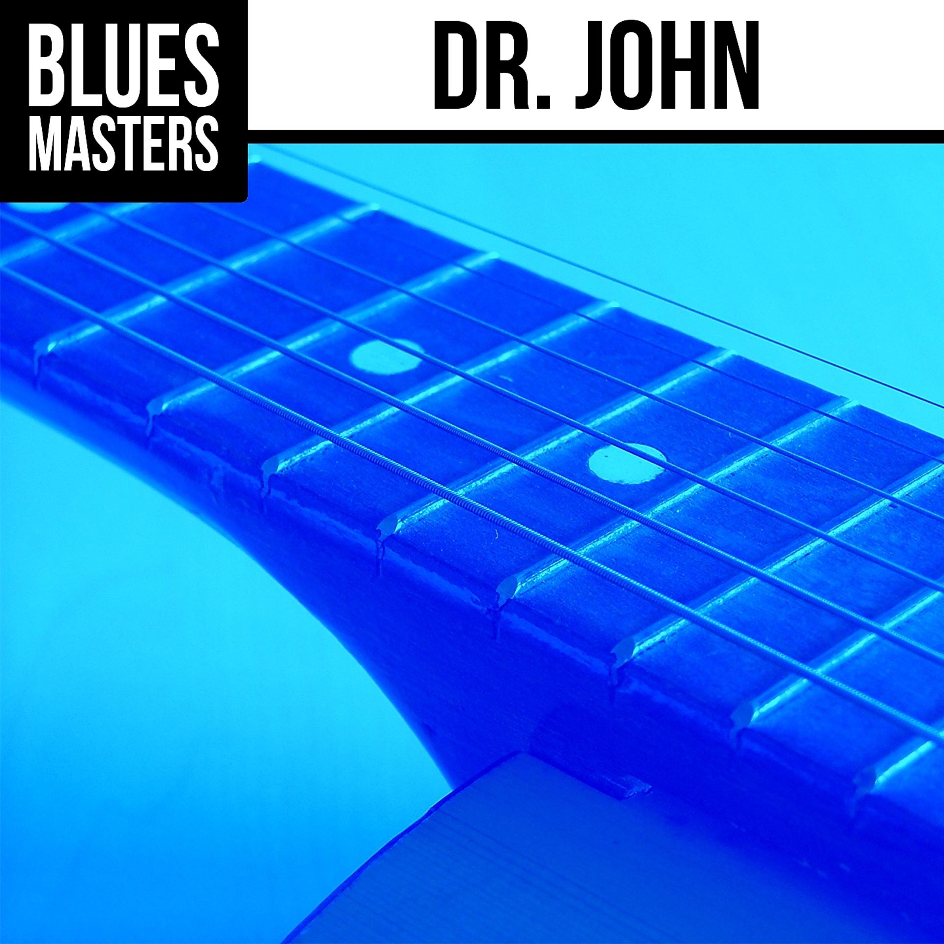 Постер альбома Blues Masters: Dr. John