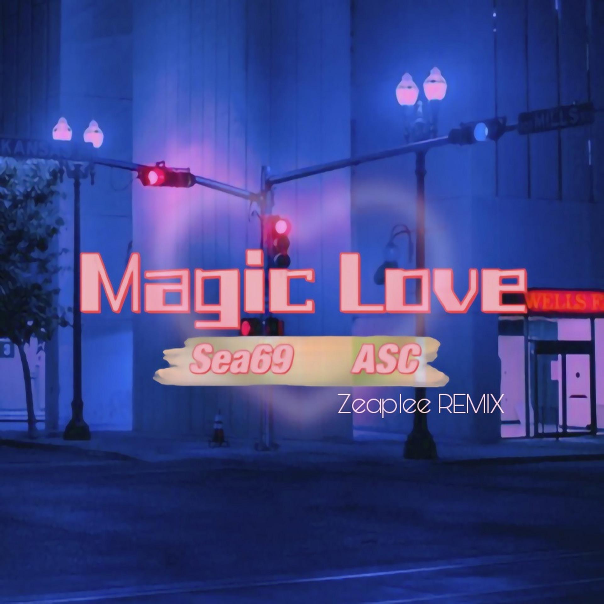 Постер альбома Magic Love (Zeaplee Remix)