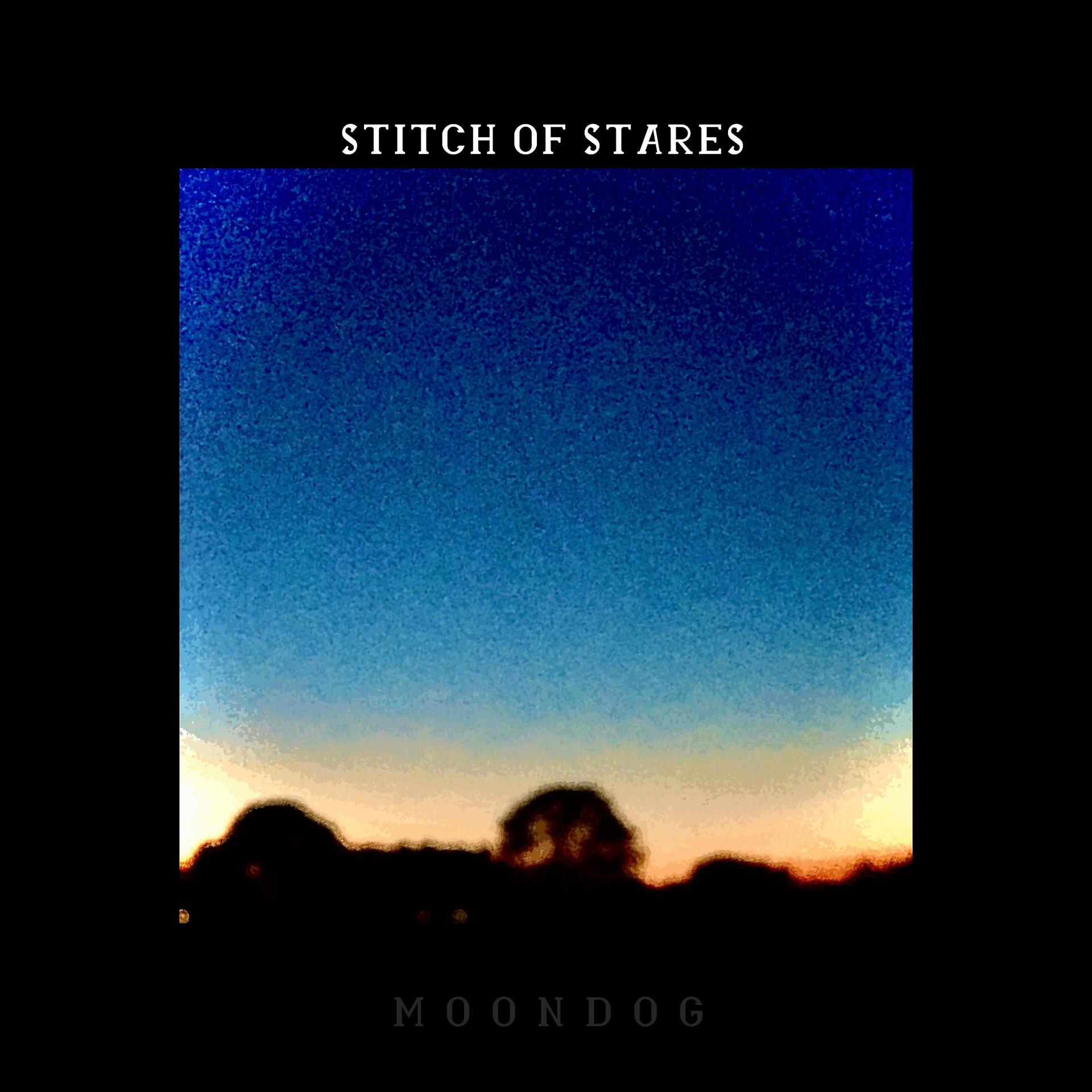 Постер альбома Stitch of Stares