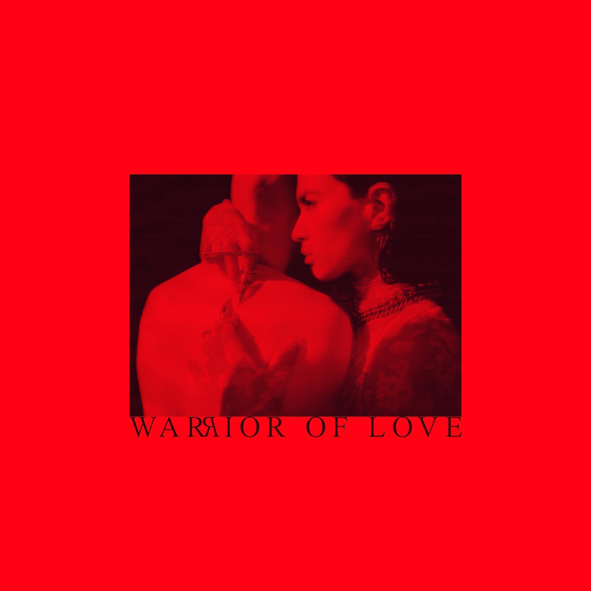 Постер альбома Warrior Of Love