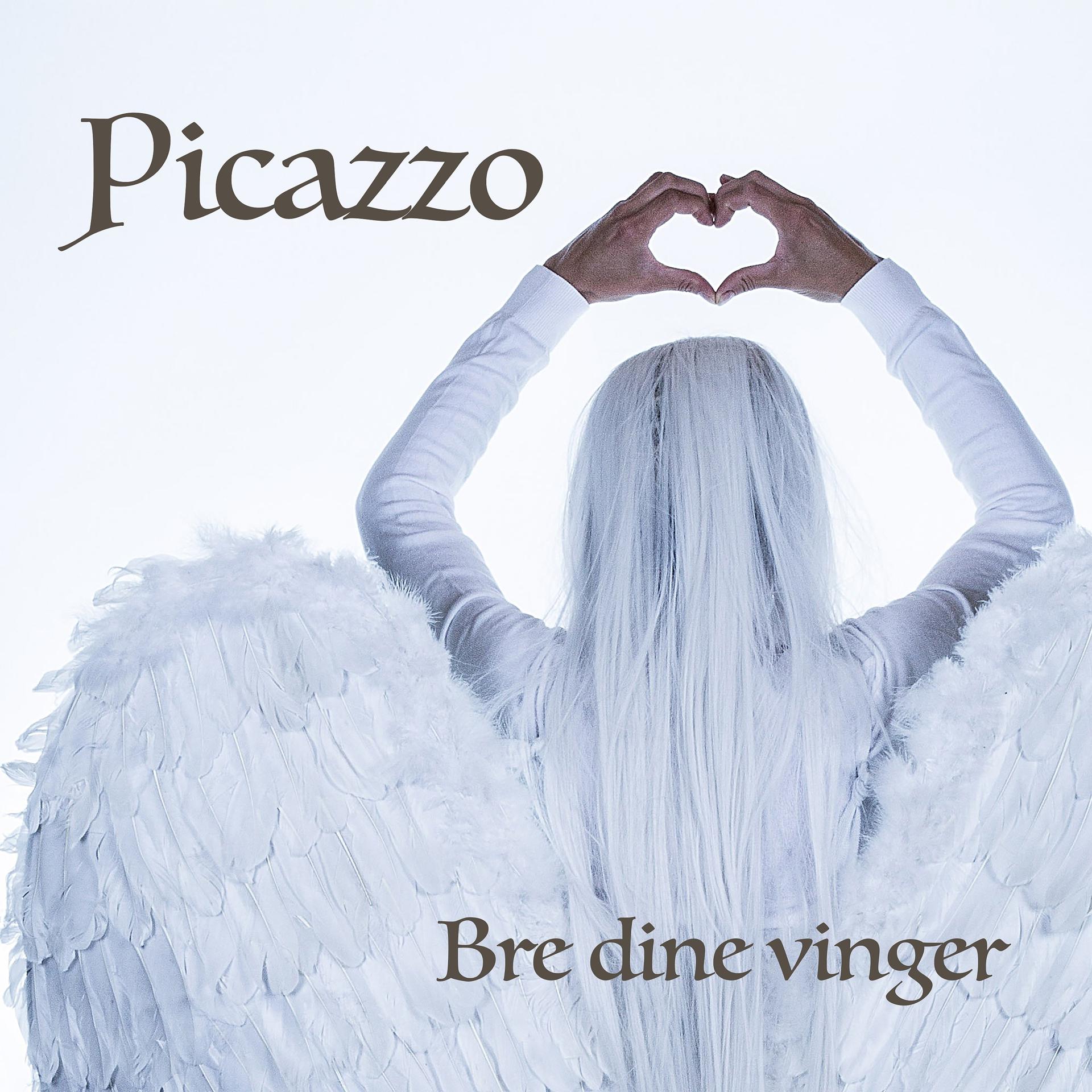 Постер альбома Bre Dine Vinger