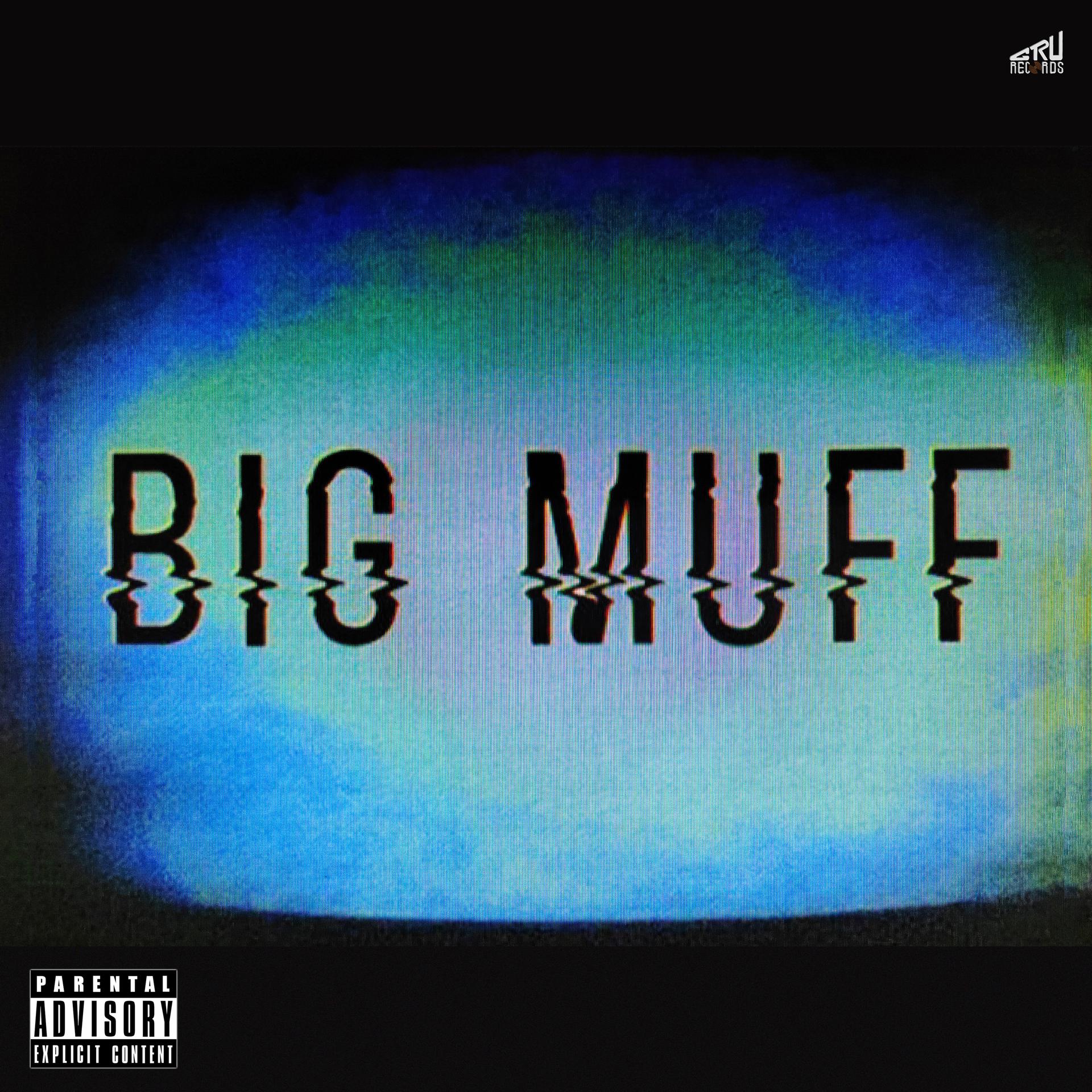 Постер альбома BIG MUFF DAY