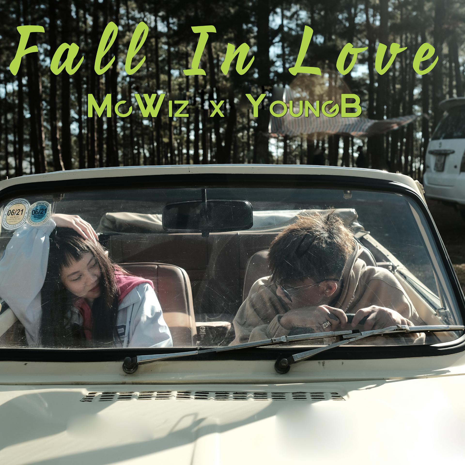 Постер альбома Fall In Love