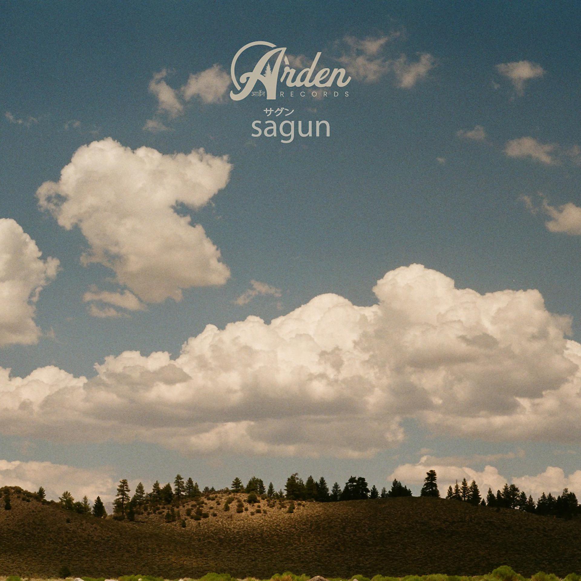 Постер к треку Arden Records, Sagun, wrongnumber - valley
