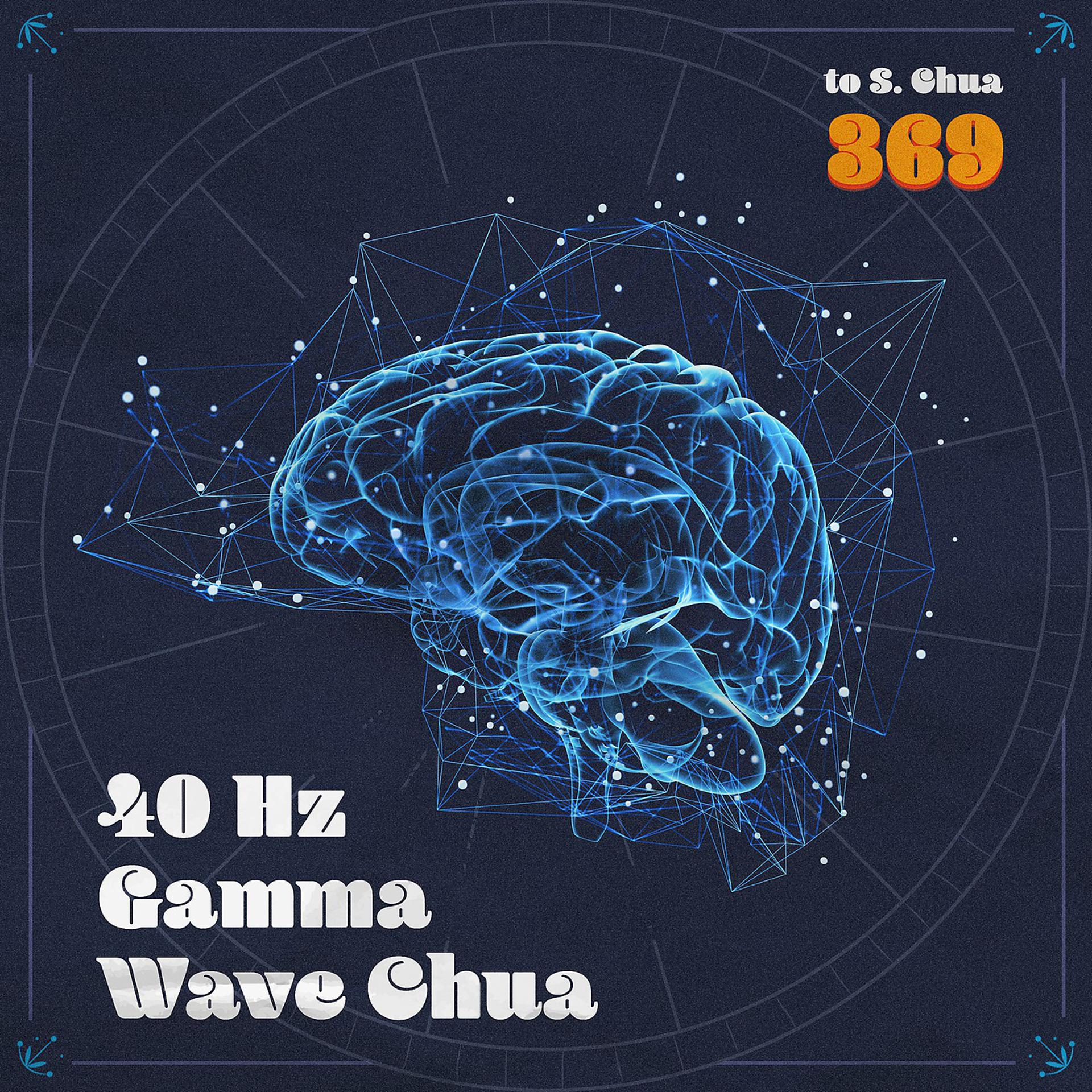 Постер альбома 40 Hz Gamma Wave Chua
