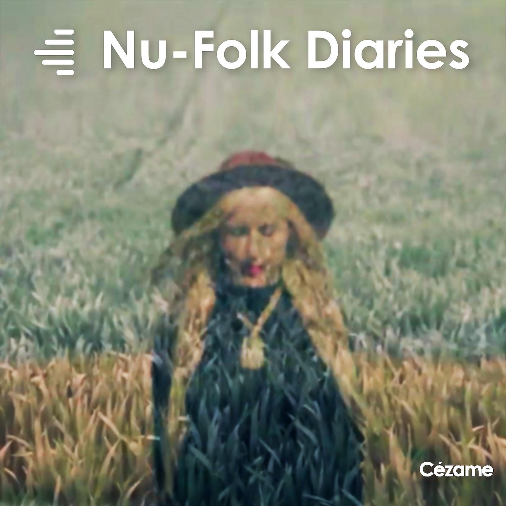 Постер альбома Nu Folk Diaries